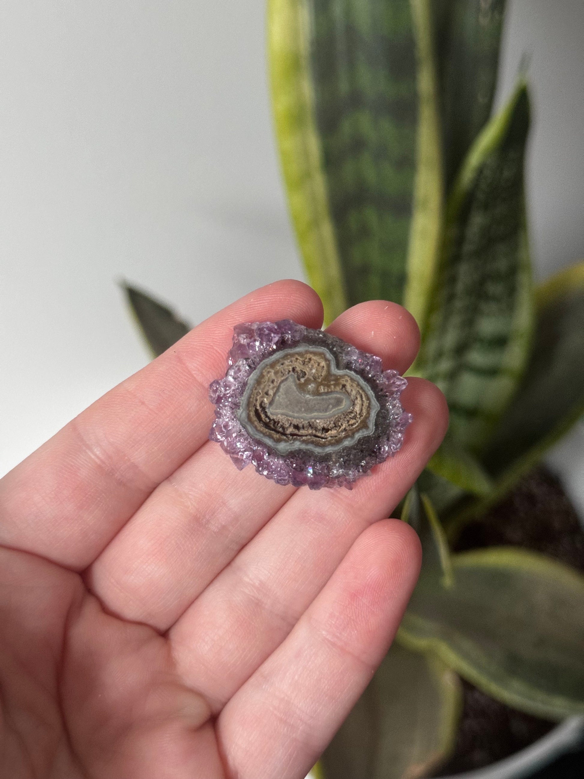 Gorgeous Druzy Amethyst Stalactite Slice from Uruguay