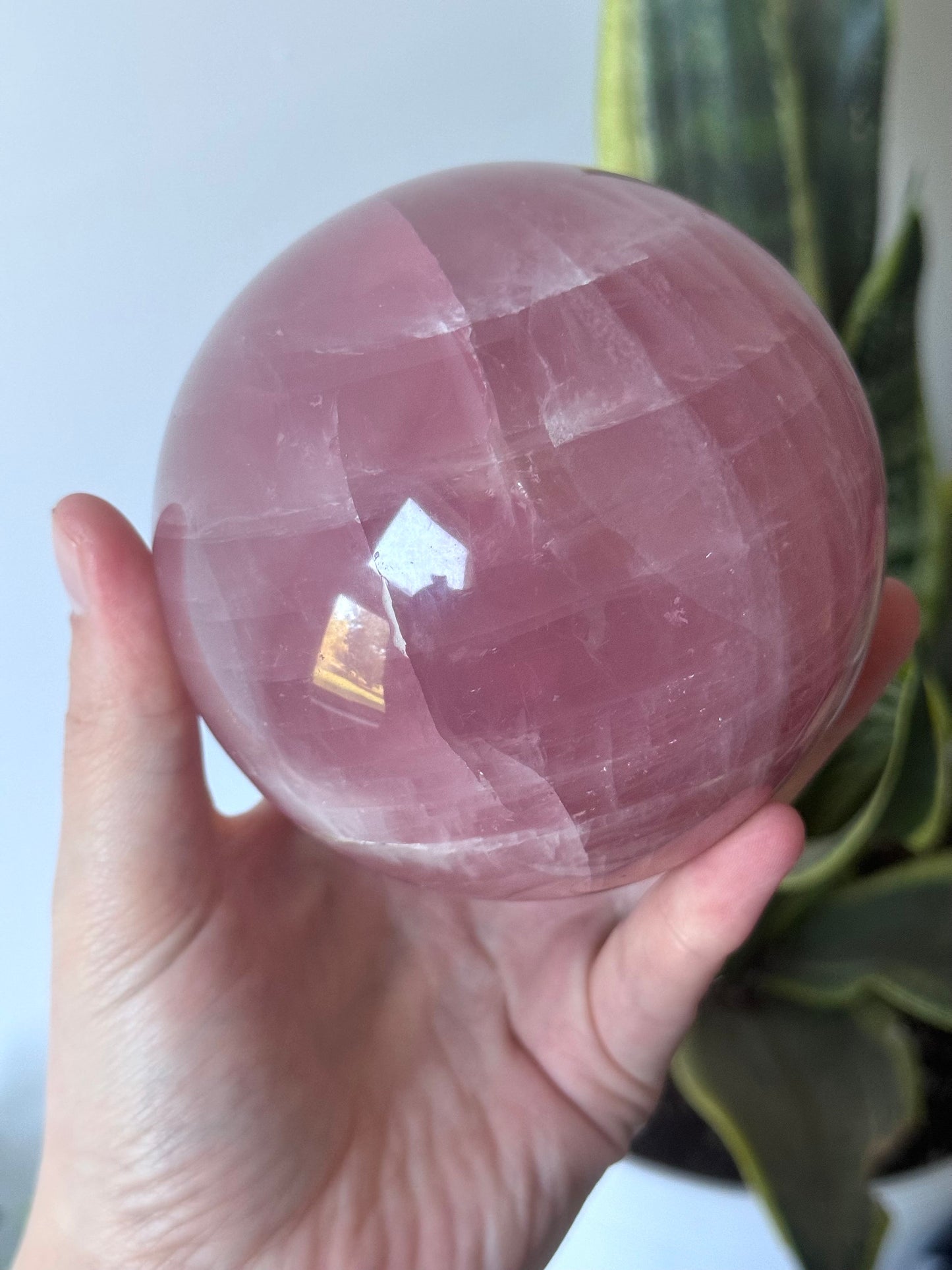 XL Gorgeous Rose Quartz Sphere with Star Flash | 95mm Rose Quartz Ball with Asterism