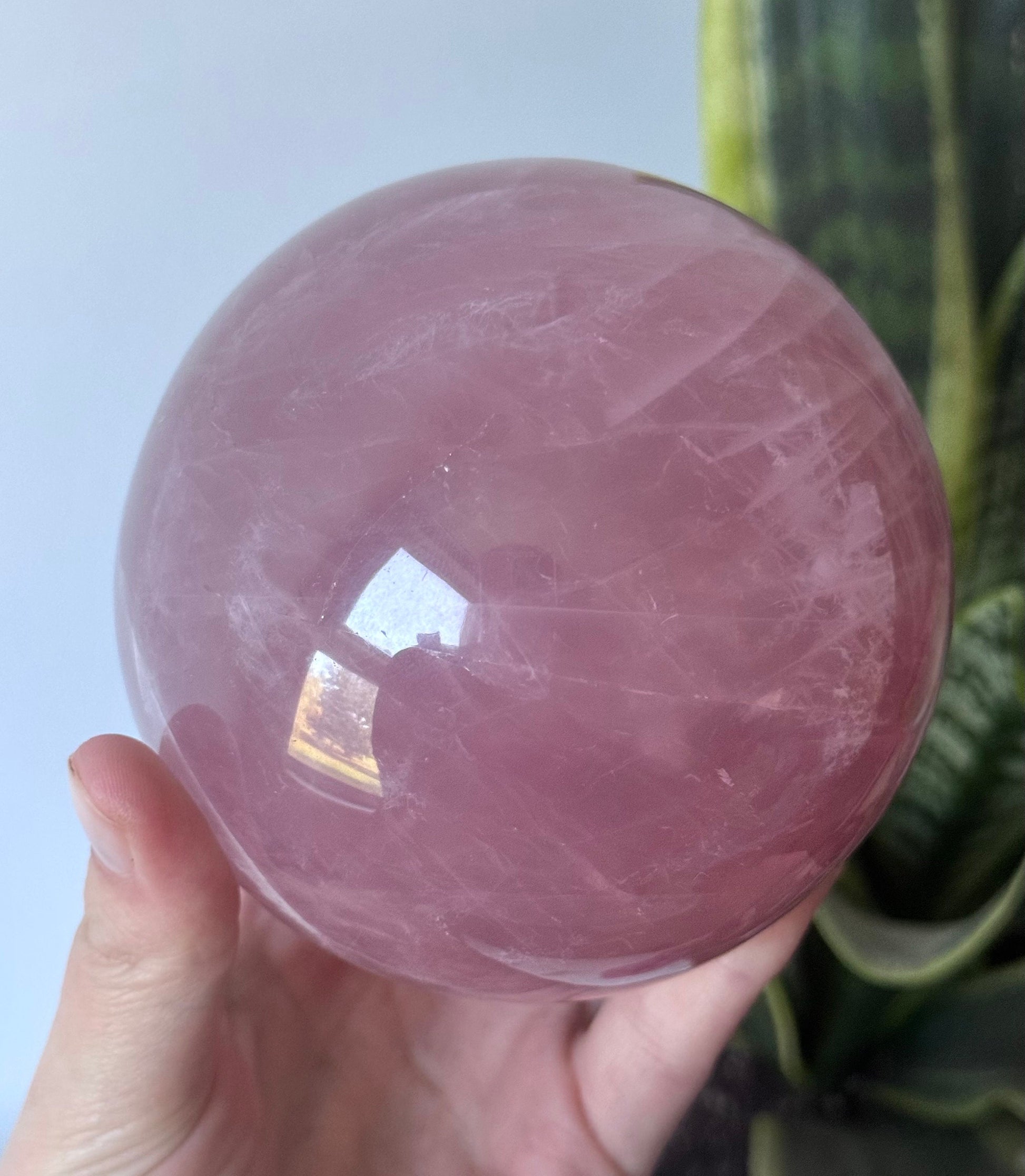 XL Gorgeous Rose Quartz Sphere with Star Flash | 95mm Rose Quartz Ball with Asterism