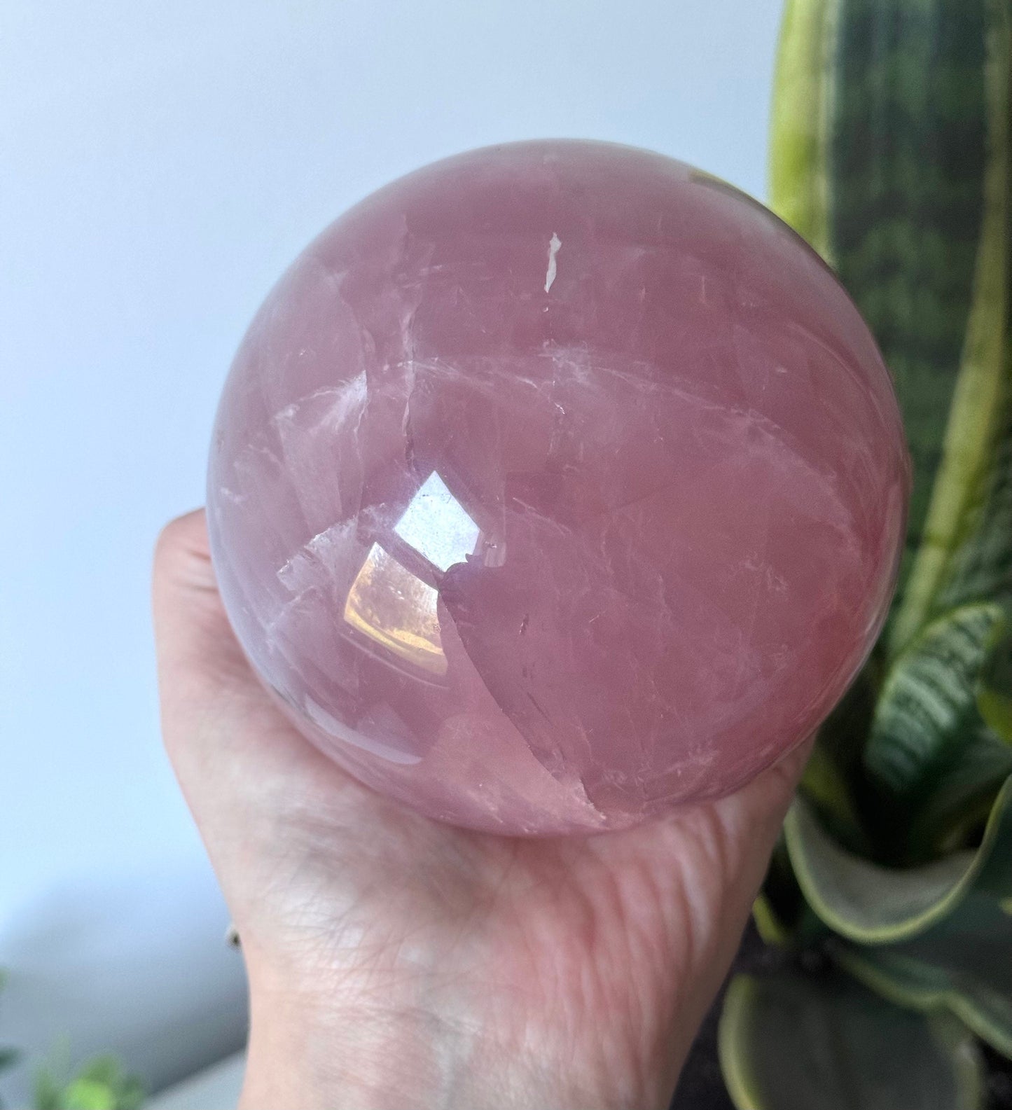 XL Gorgeous Rose Quartz Sphere with Star Flash | 95mm Rose Quartz Ball with Asterism