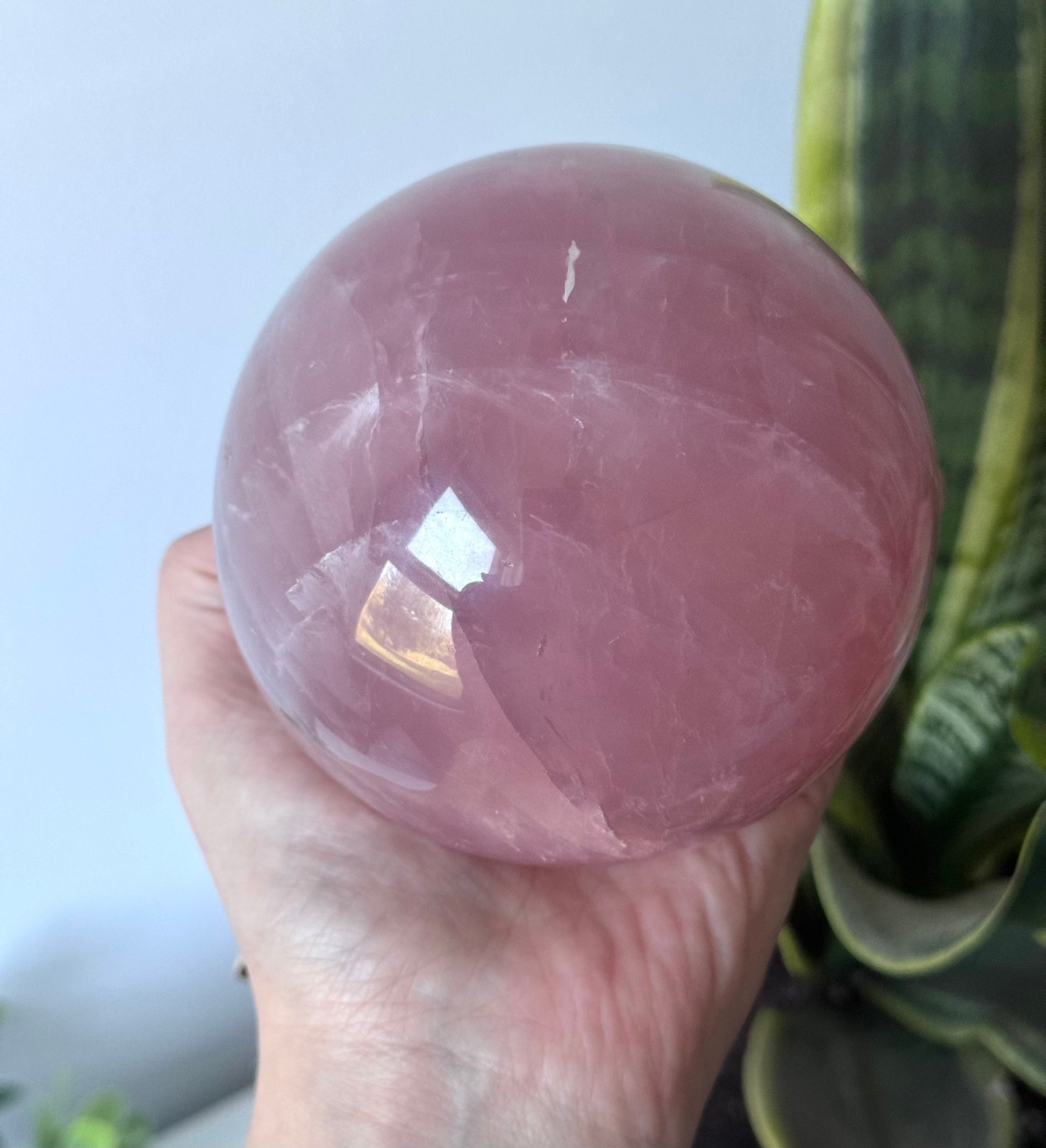 XL Gorgeous Rose Quartz Sphere with Star Flash | 95mm Rose Quartz Ball with Asterism