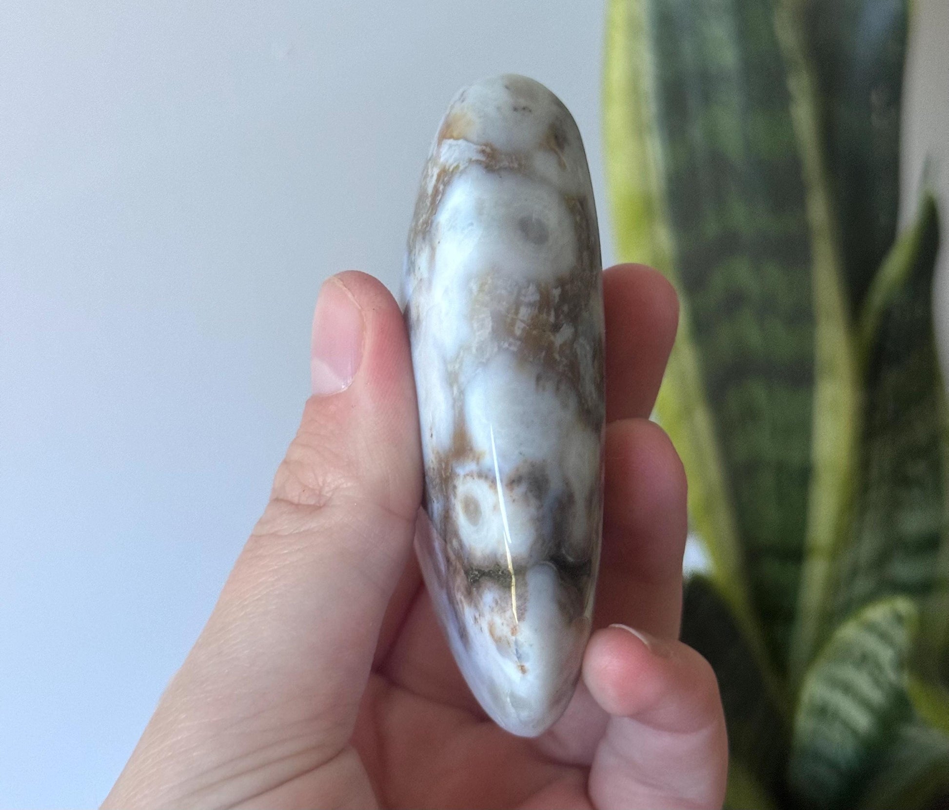 Beautiful Veinless Ocean Jasper Palm Stone from Madagascar