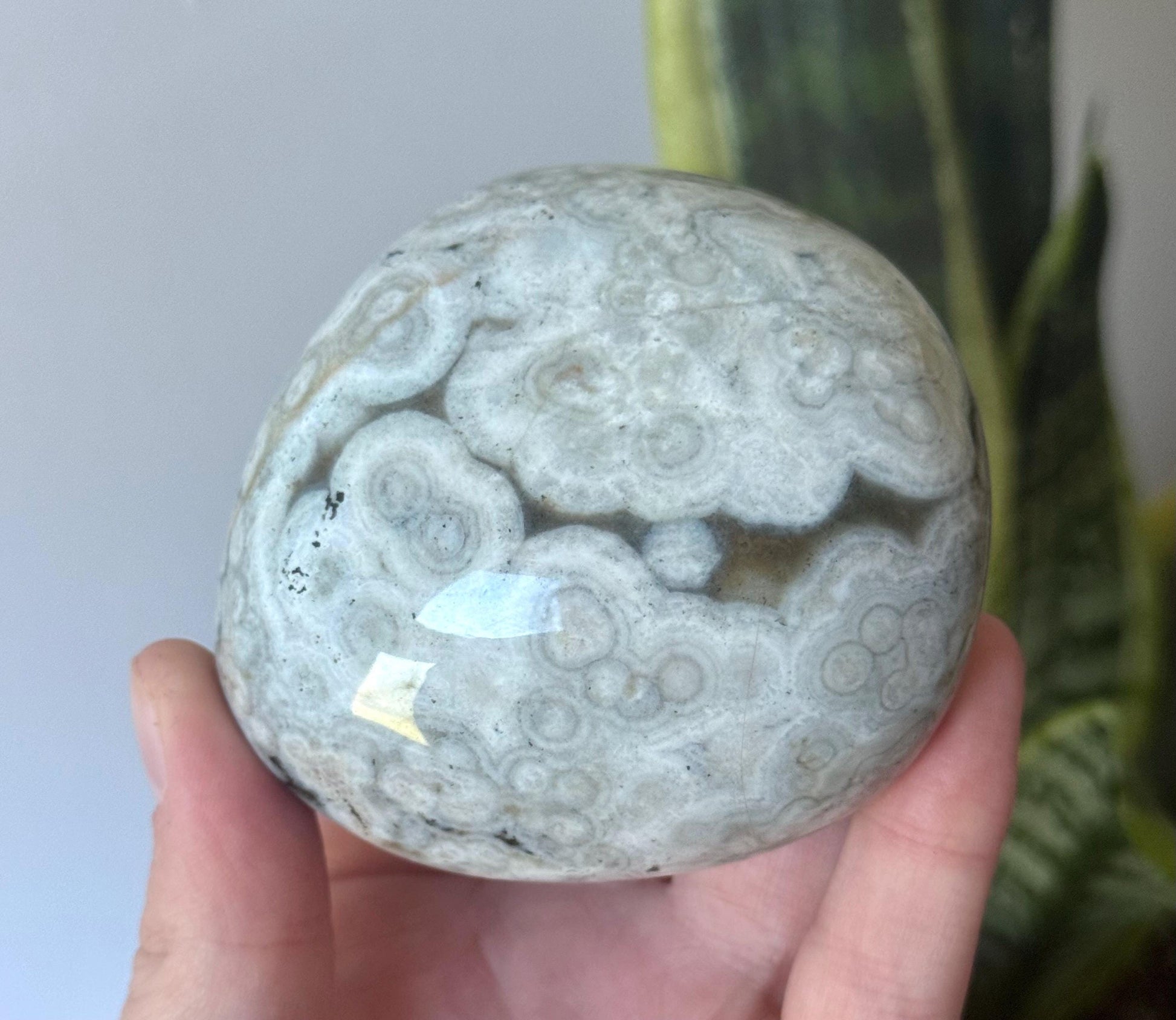 Beautiful Veinless Ocean Jasper Palm Stone from Madagascar