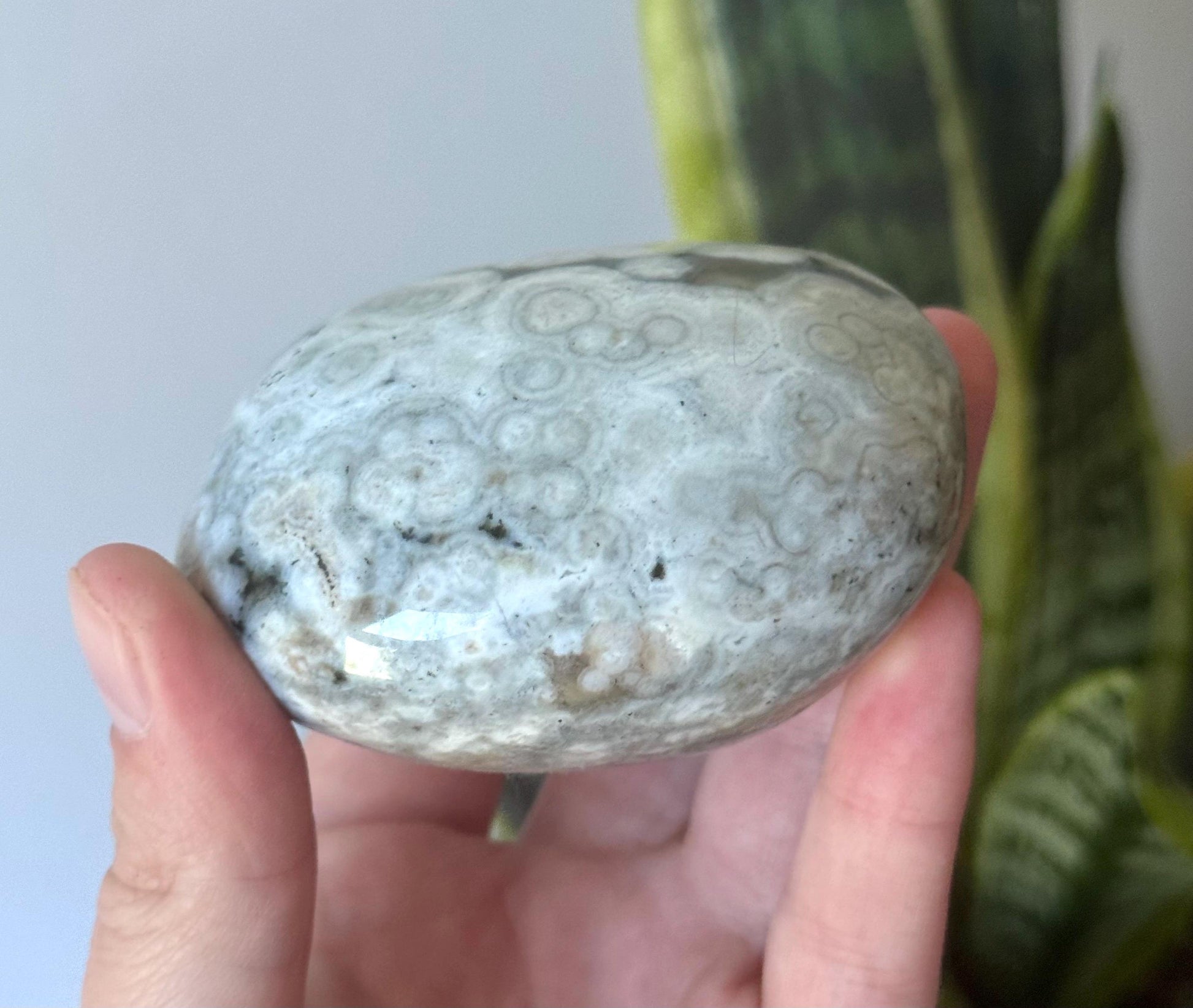 Beautiful Veinless Ocean Jasper Palm Stone from Madagascar