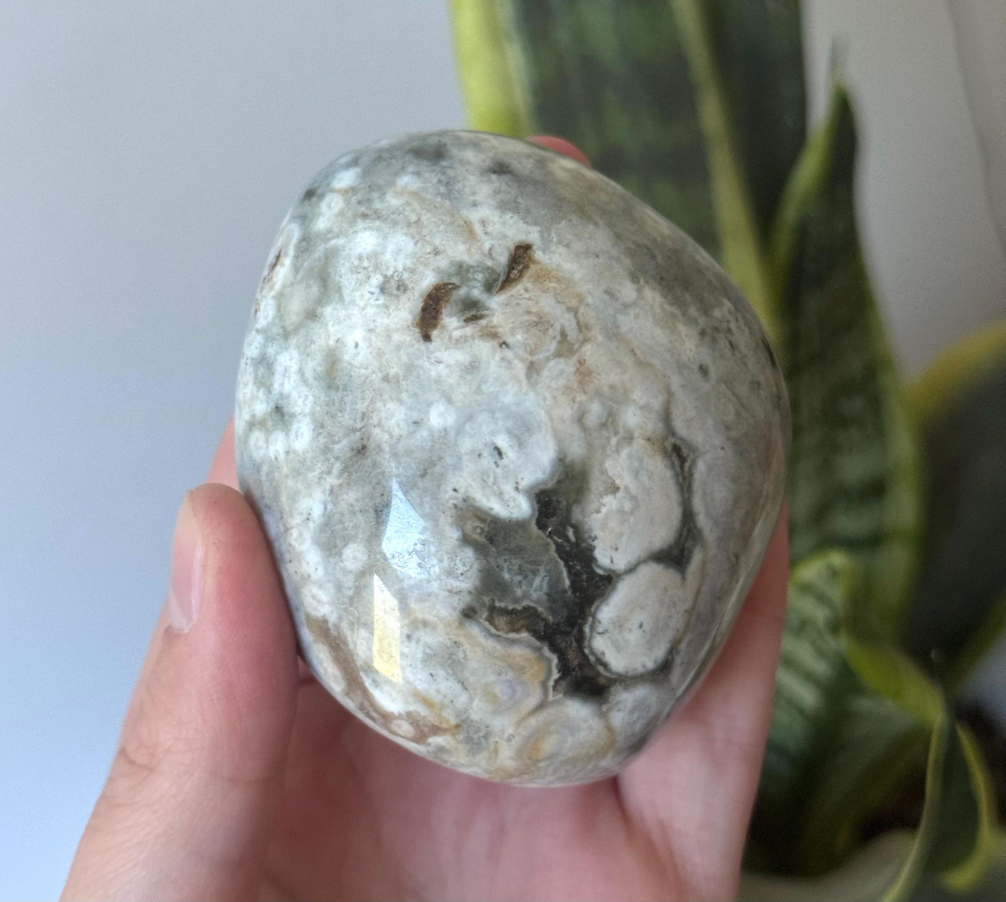 Beautiful Veinless Ocean Jasper Palm Stone from Madagascar