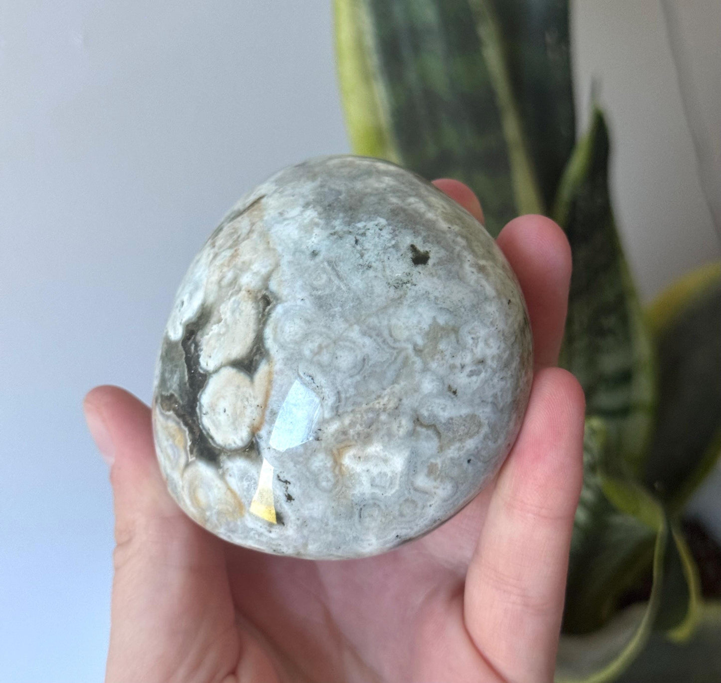 Beautiful Veinless Ocean Jasper Palm Stone from Madagascar