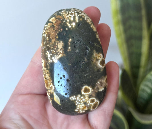 Beautiful Veinless Ocean Jasper Palm Stone from Madagascar