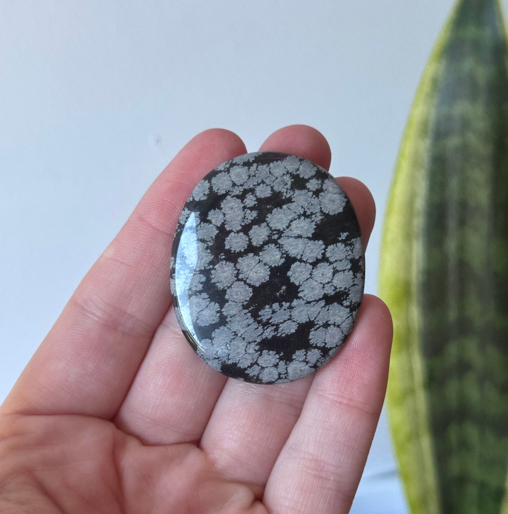 Beautiful Snowflake Obsidian Flat Stones | Snowflake Obsidian Round Pebble Worry Stone