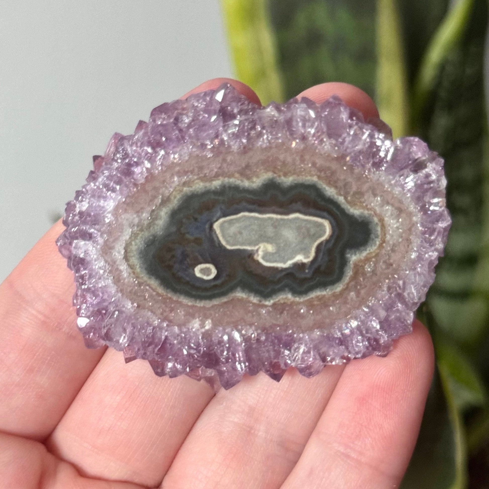 Gorgeous Druzy Amethyst Stalactite Slice from Uruguay