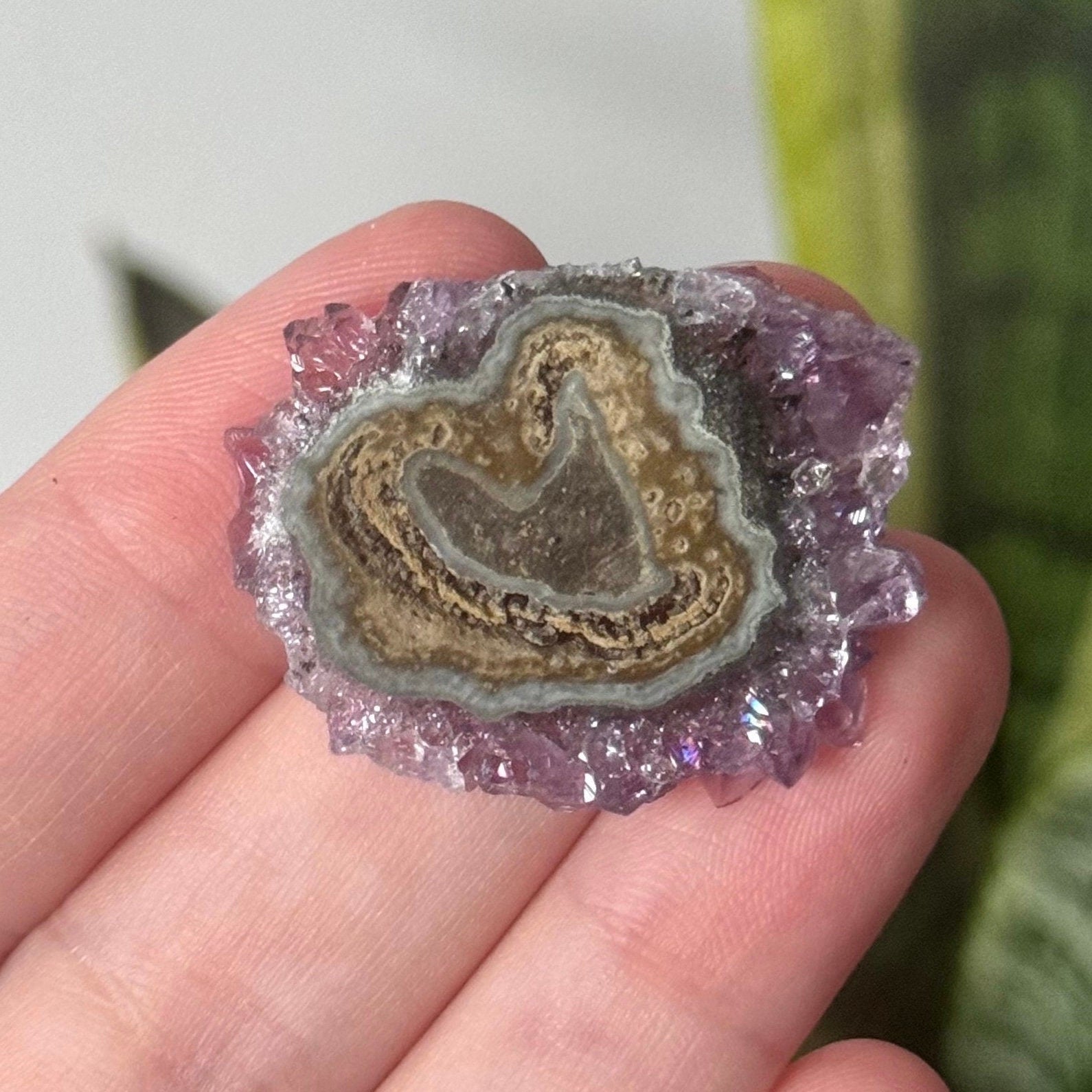 Gorgeous Druzy Amethyst Stalactite Slice from Uruguay