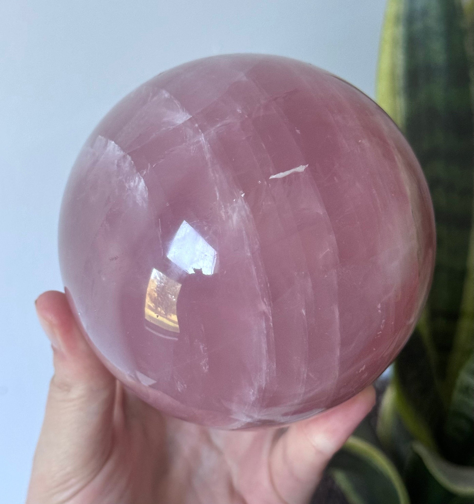 XL Gorgeous Rose Quartz Sphere with Star Flash | 95mm Rose Quartz Ball with Asterism