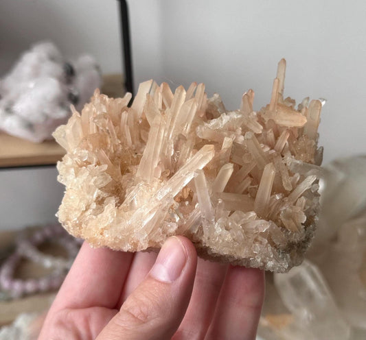 Beautiful Milky Quartz Point Cluster | Laser Point Quartz Specimen Needle Point Quartz