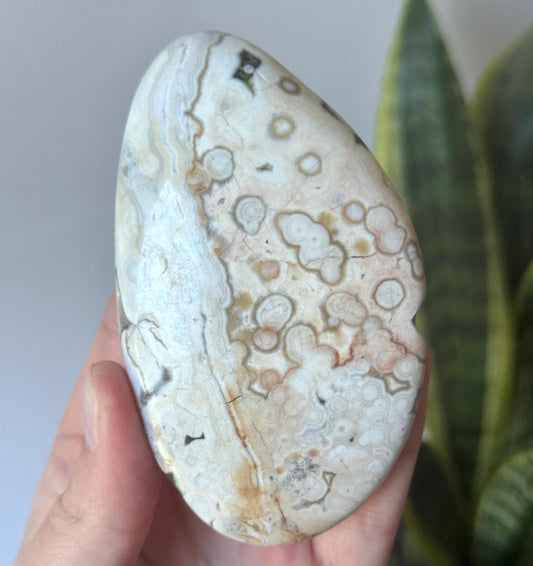 Beautiful Veinless Ocean Jasper Palm Stone from Madagascar