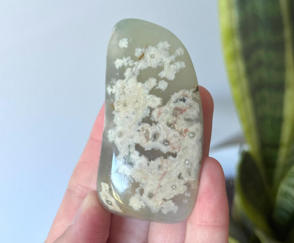 Beautiful Veinless Ocean Jasper Palm Stone from Madagascar