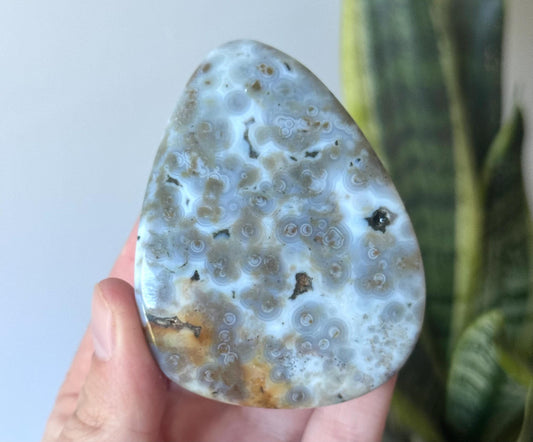 Beautiful Veinless Ocean Jasper Palm Stone from Madagascar