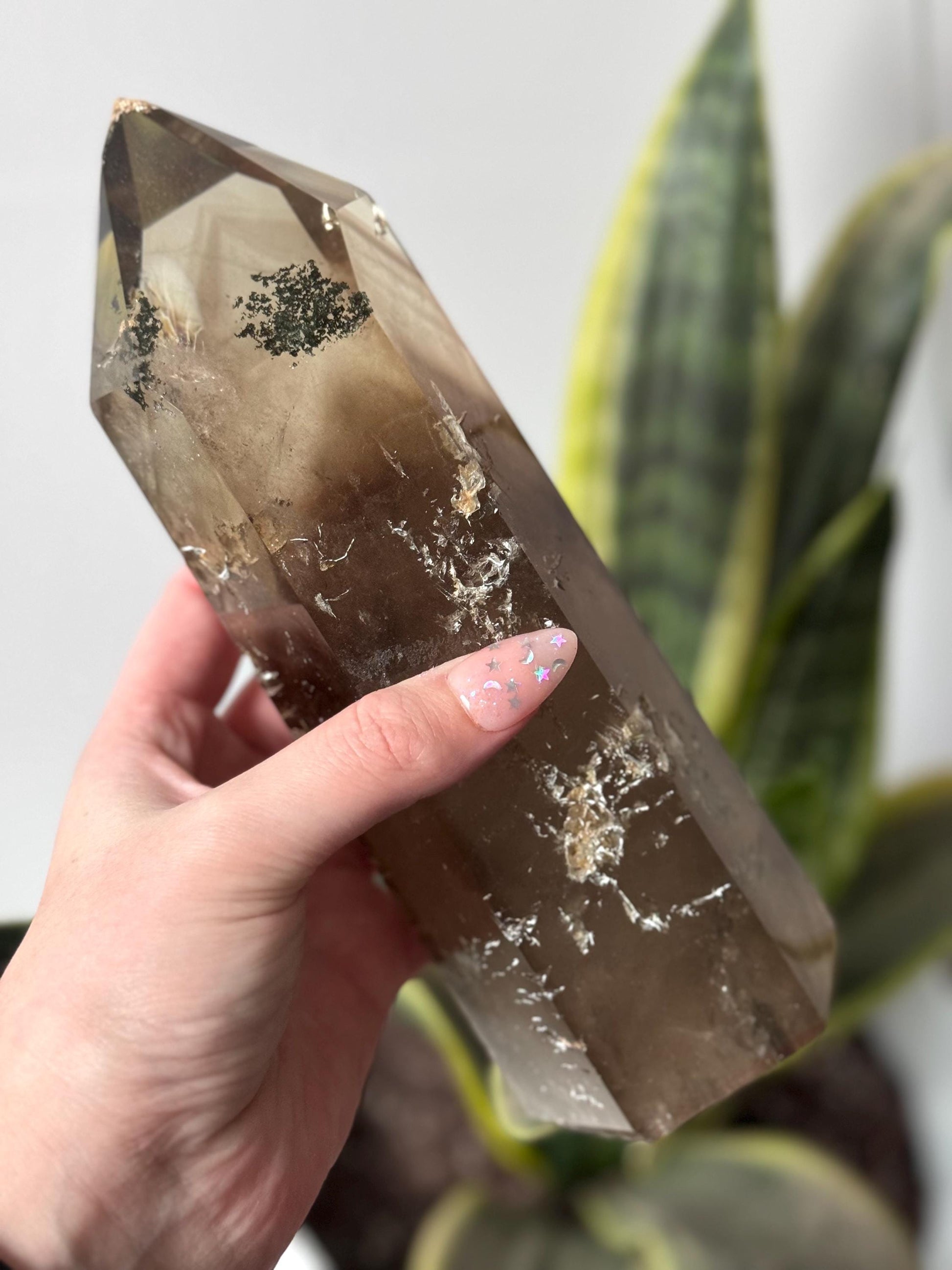 Gorgeous Large Smoky Quartz Tower with Dentritic Garden & Phantoms from Brazil (1.314kg)