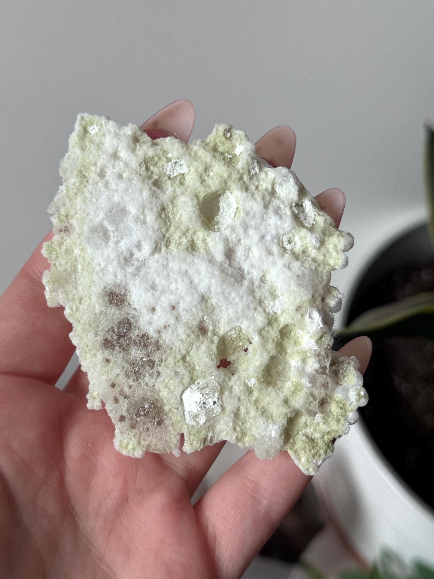 Stunning Okenite Specimen | Natural White Okenite Mineral