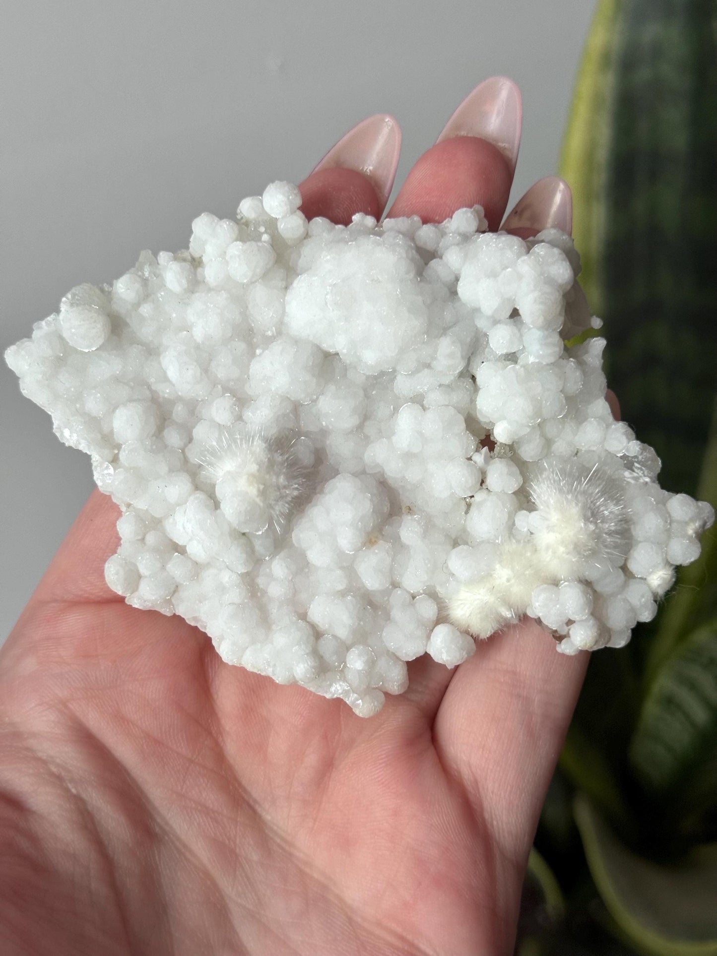 Stunning Okenite Specimen | Natural White Okenite Mineral