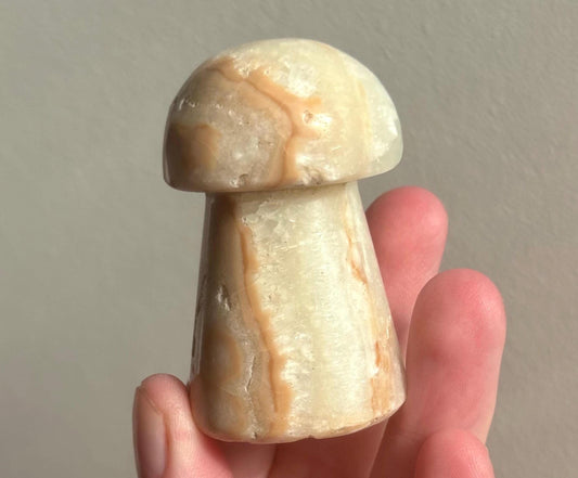 Gorgeous Caribbean Calcite Mushroom Figurine | Carribean Calcite Mushroom Carving from Pakistan