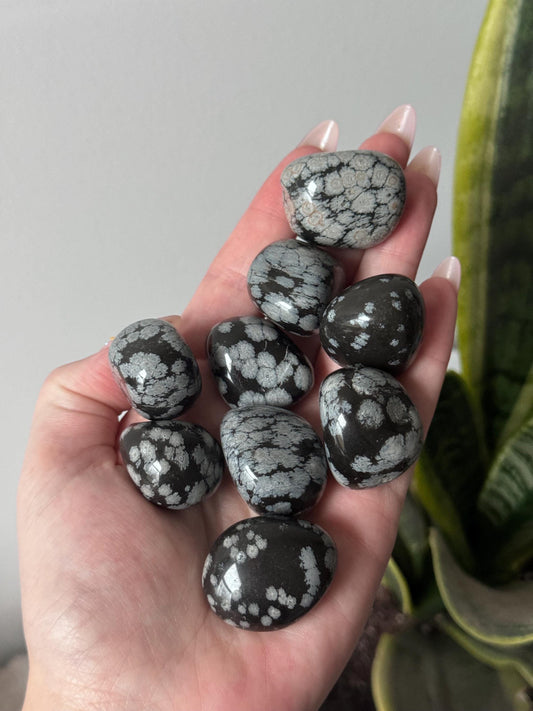 Snowflake Obsidian Tumbled Stones | Snowflake Obsidian Tumbles