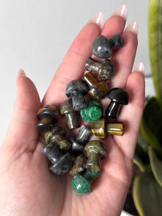 Mini Mystery Mushroom Carving | Intuitively Chosen Miniature Mushroom Figurine