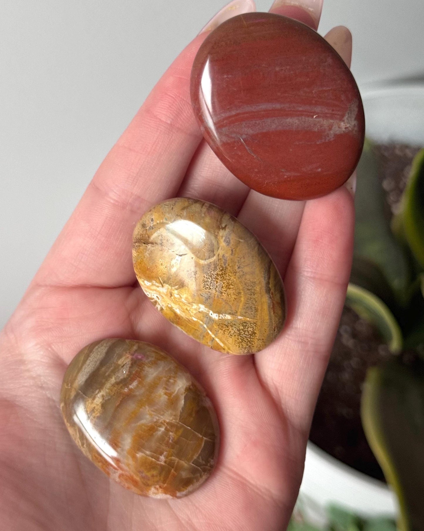 Beautiful Petrified Wood Palm Stones | You Choose Petrified Wood Pocket Stones