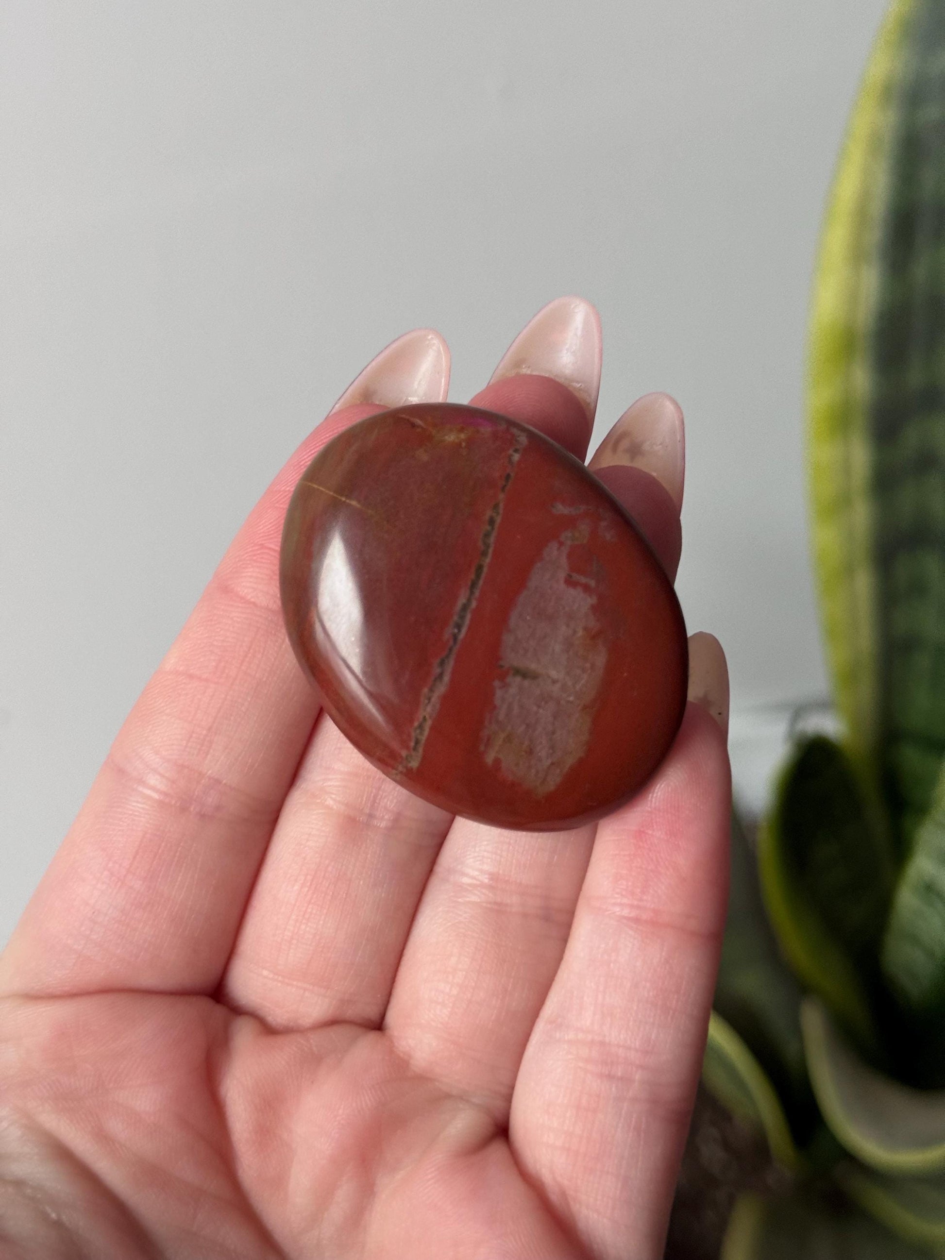 Beautiful Petrified Wood Palm Stones | You Choose Petrified Wood Pocket Stones