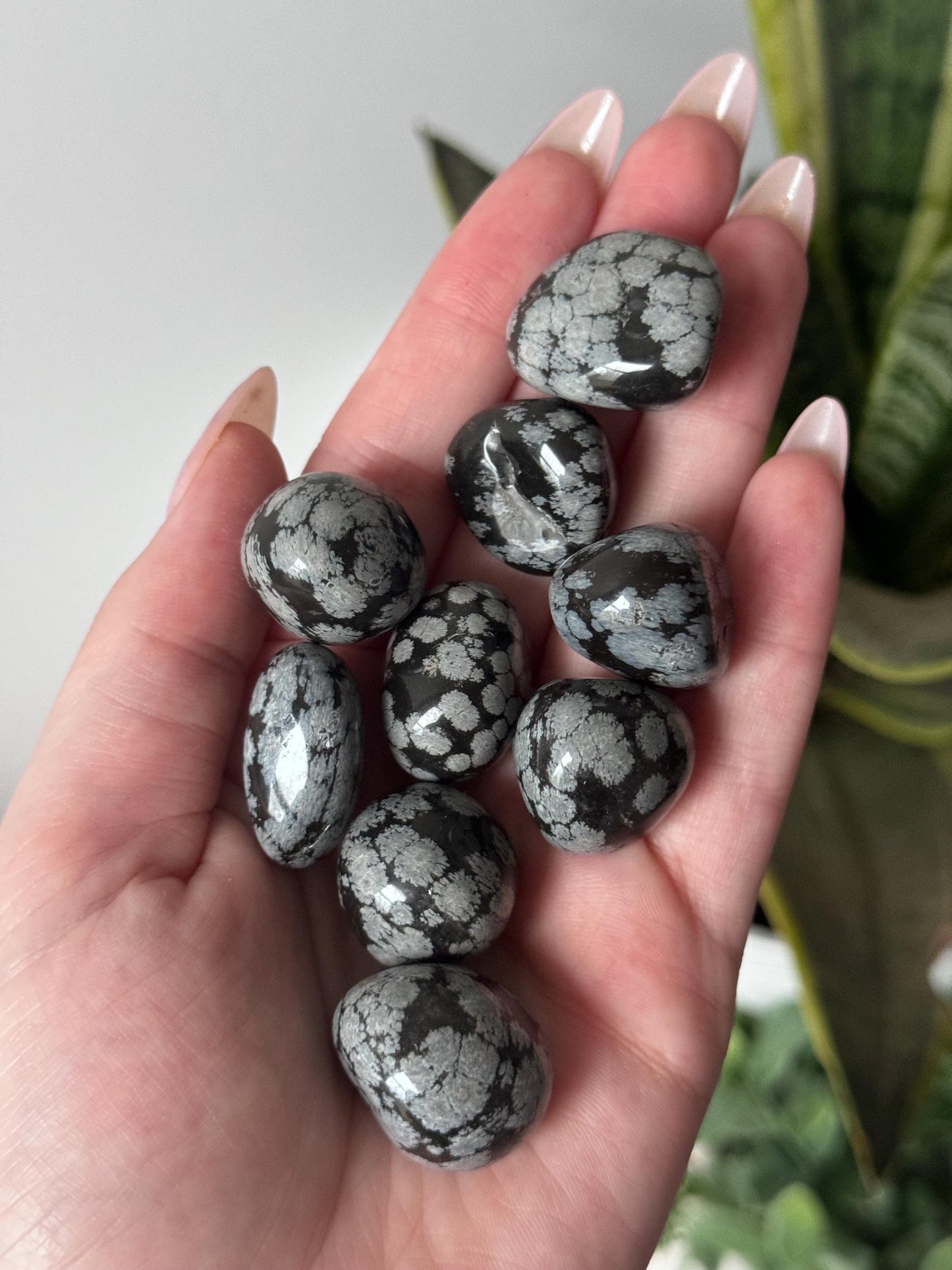 Snowflake Obsidian Tumbled Stones | Snowflake Obsidian Tumbles