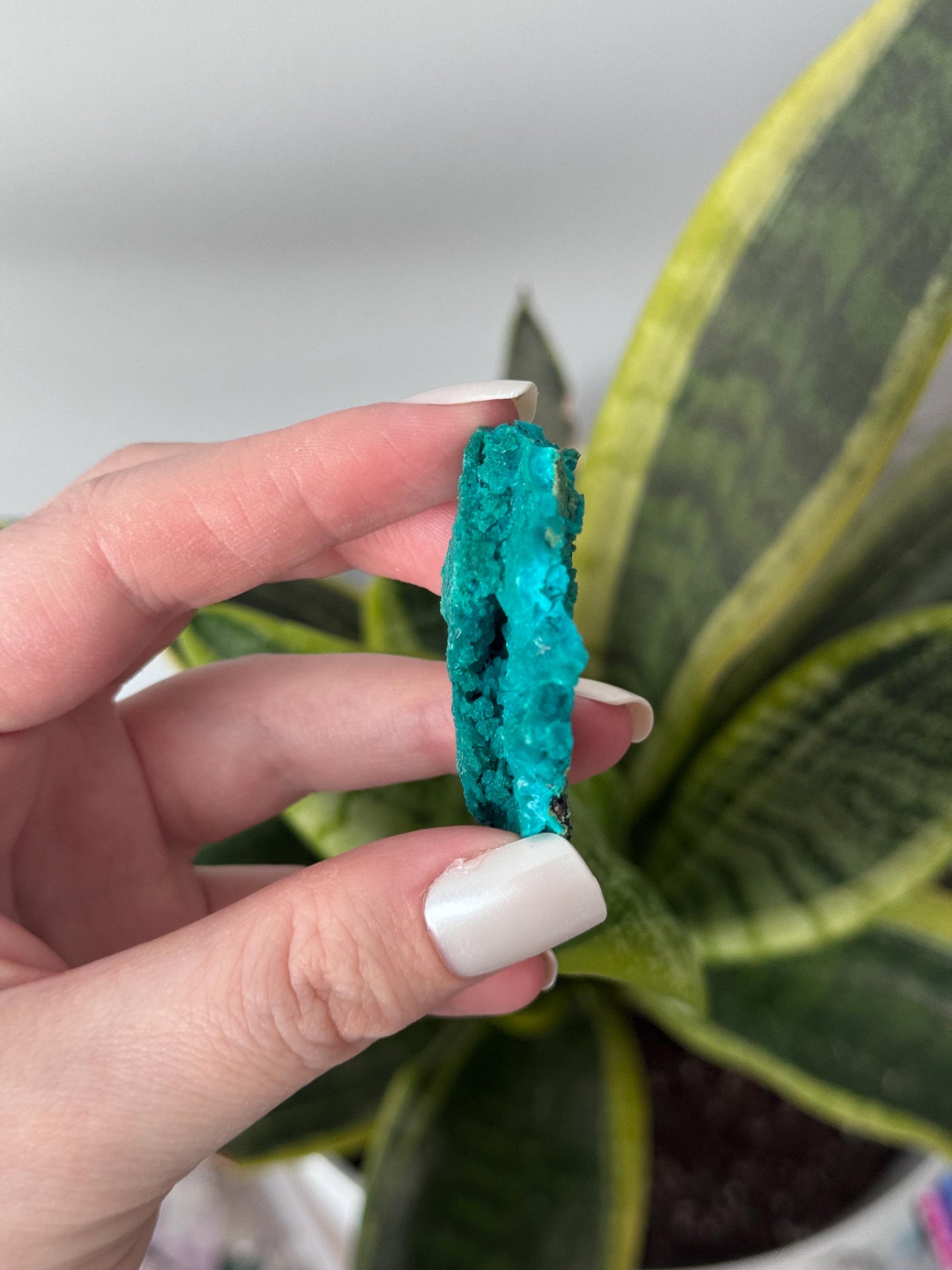 Beautiful Chrysocolla Specimen from Cunyari Mine in Peru | Cunyari Chrysocolla