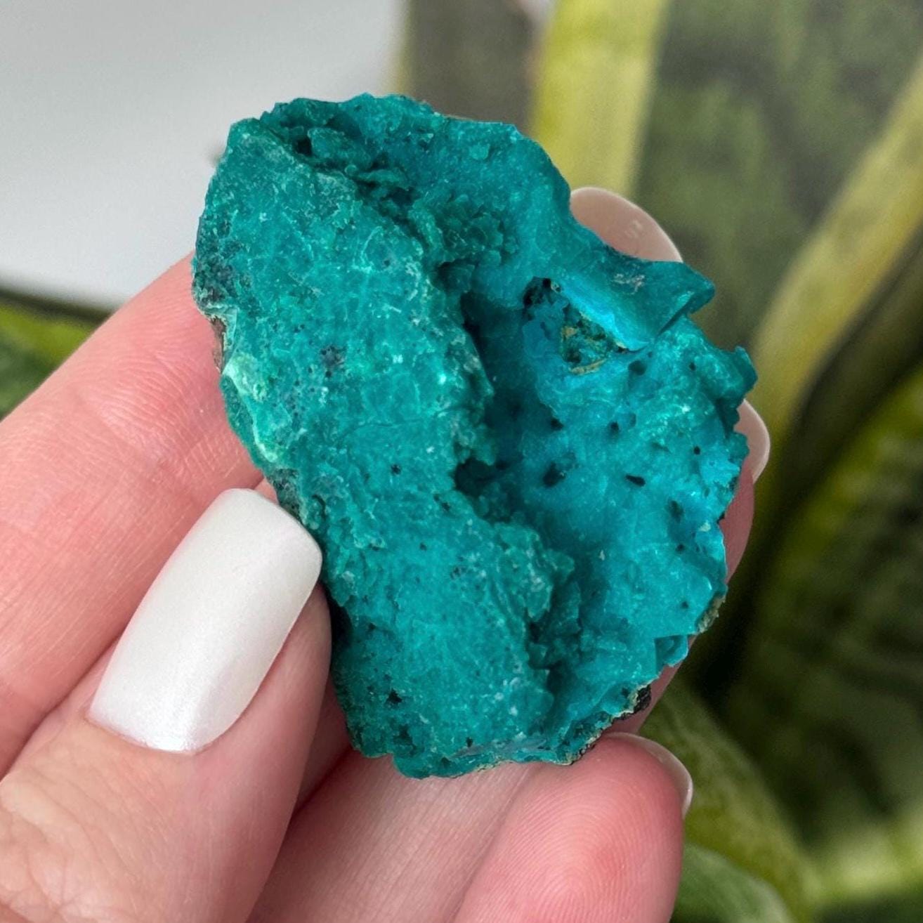 Beautiful Chrysocolla Specimen from Cunyari Mine in Peru | Cunyari Chrysocolla