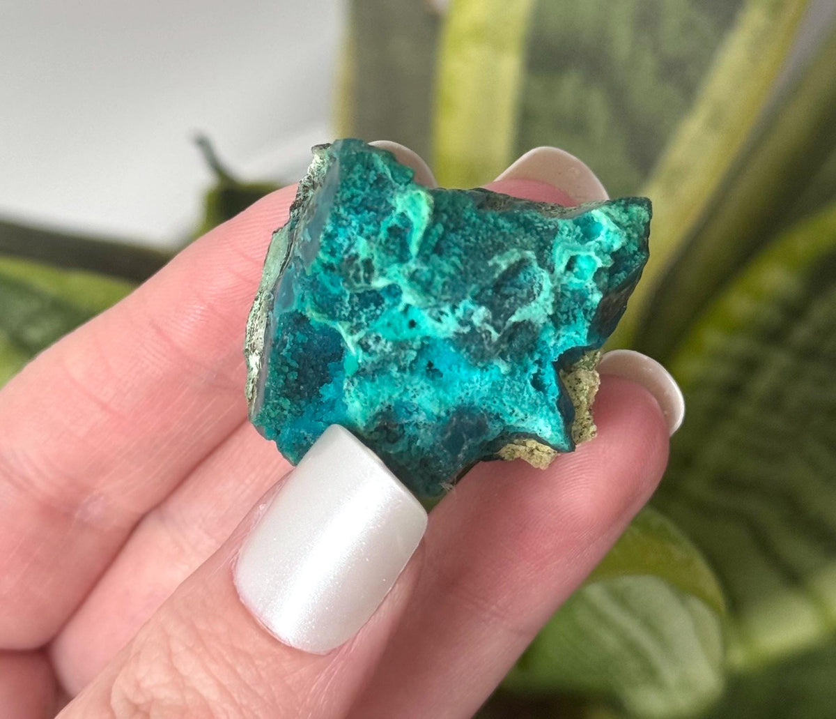 Beautiful Chrysocolla Specimen from Cunyari Mine in Peru | Cunyari Chrysocolla