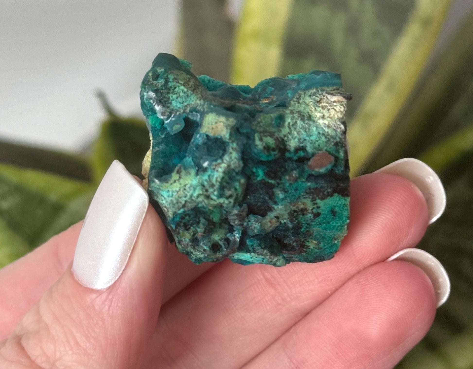 Beautiful Chrysocolla Specimen from Cunyari Mine in Peru | Cunyari Chrysocolla