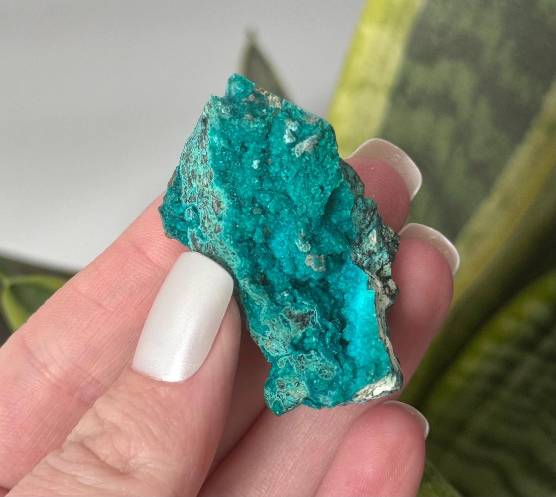 Beautiful Chrysocolla Specimen from Cunyari Mine in Peru | Cunyari Chrysocolla