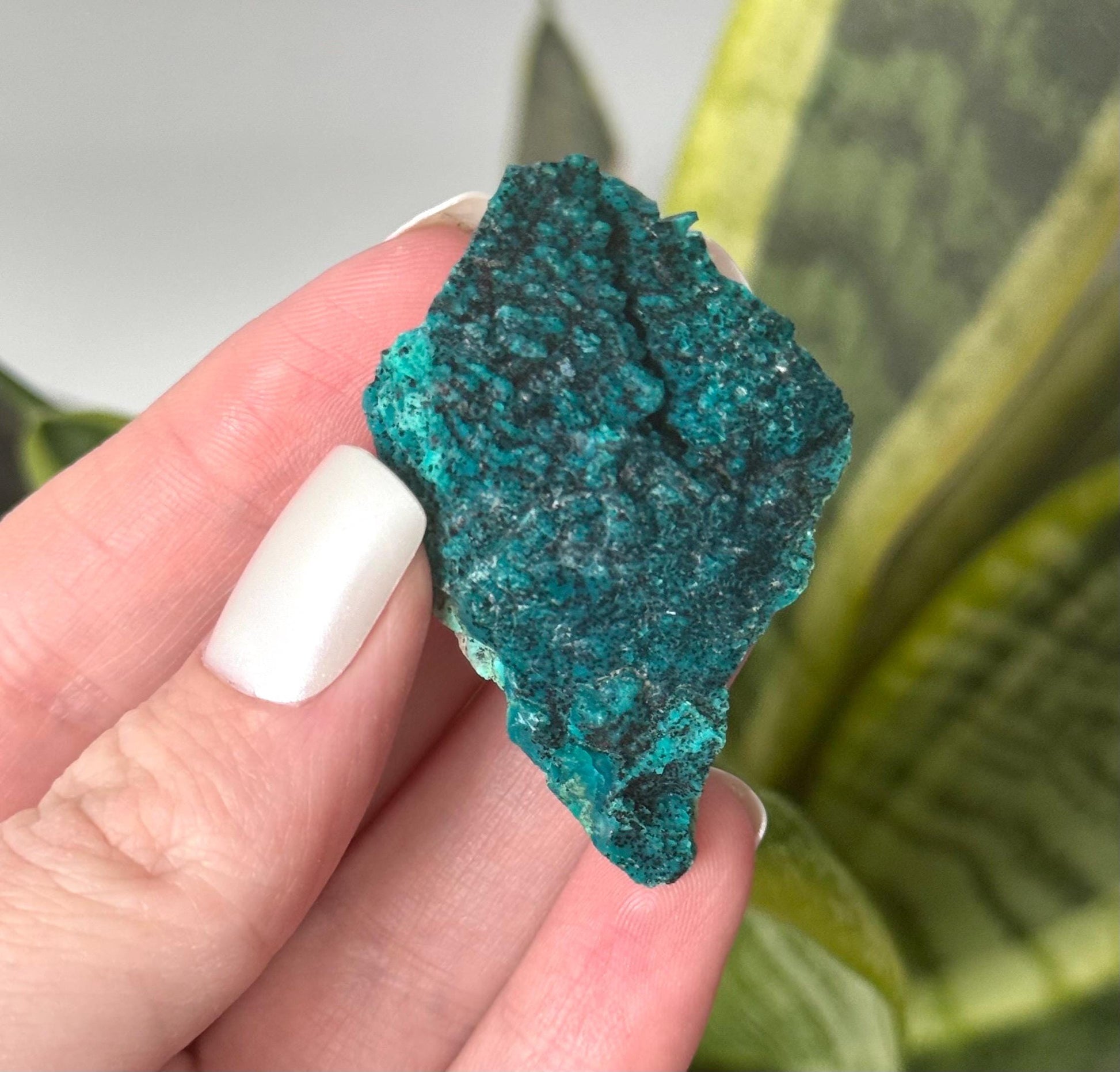 Beautiful Chrysocolla Specimen from Cunyari Mine in Peru | Cunyari Chrysocolla