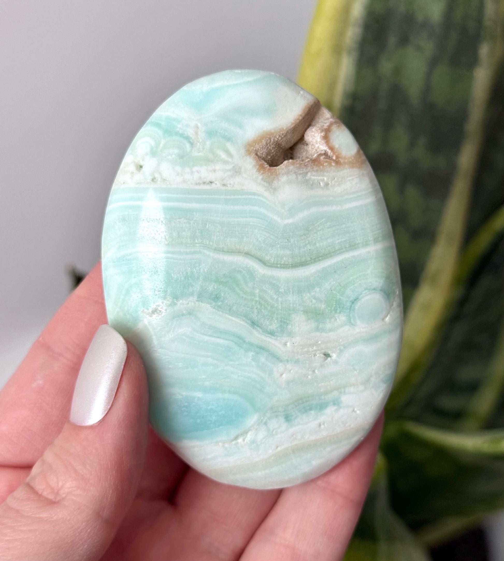 High Quality Caribbean Calcite Palm Stone Carribean Calcite Palmstone