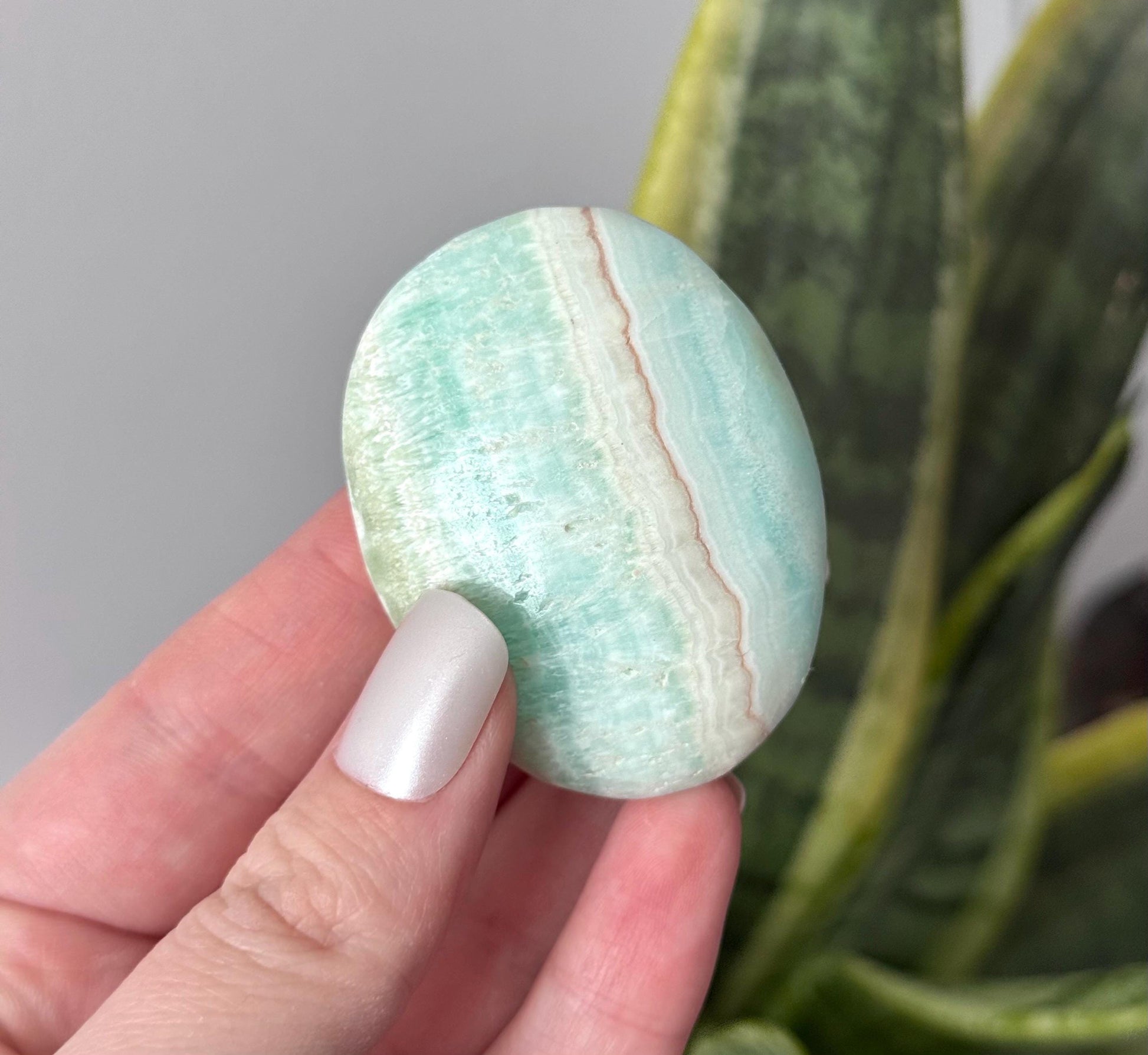 Beautiful Caribbean Calcite Palm Stone from Pakistan