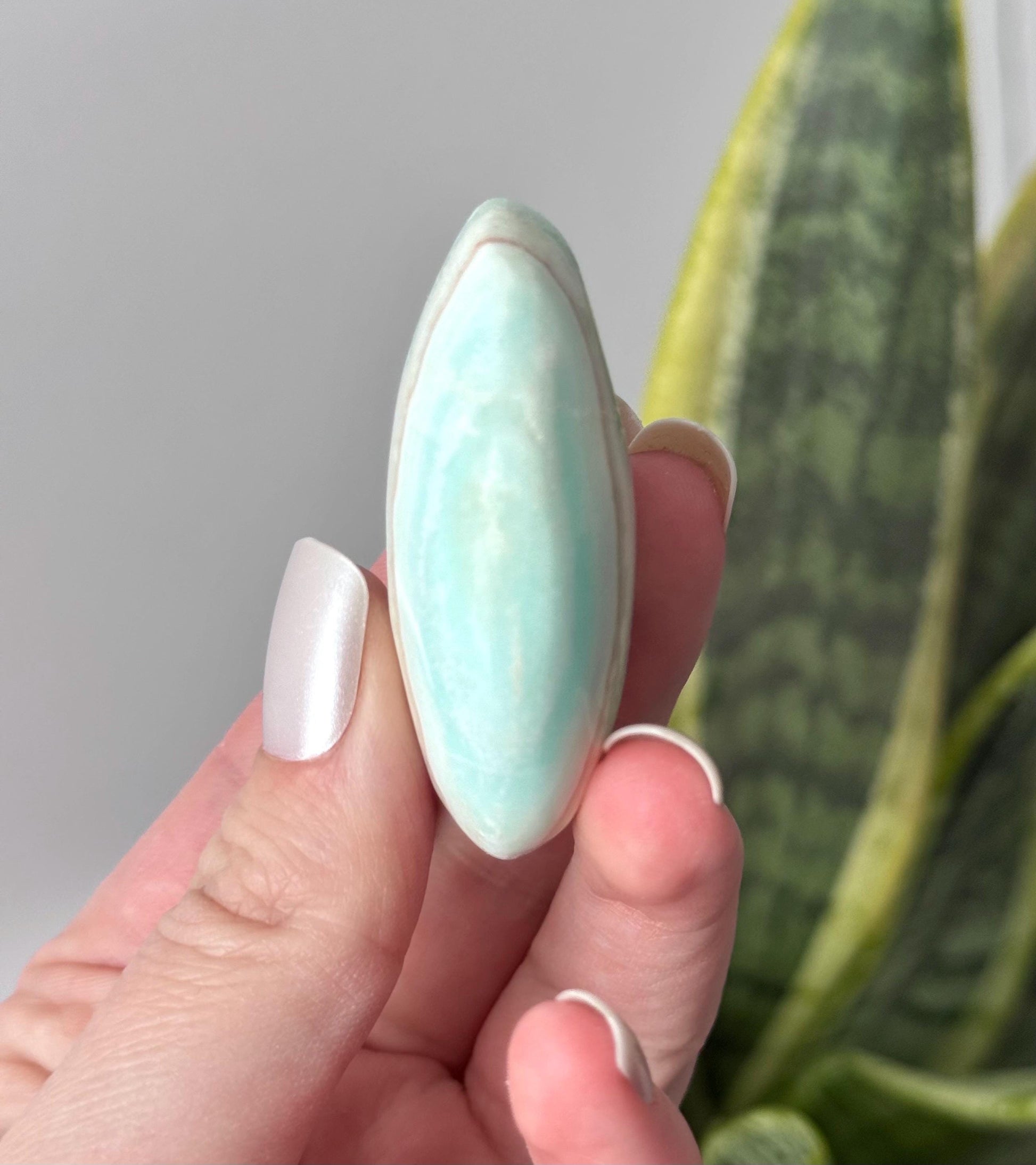 Beautiful Caribbean Calcite Palm Stone from Pakistan