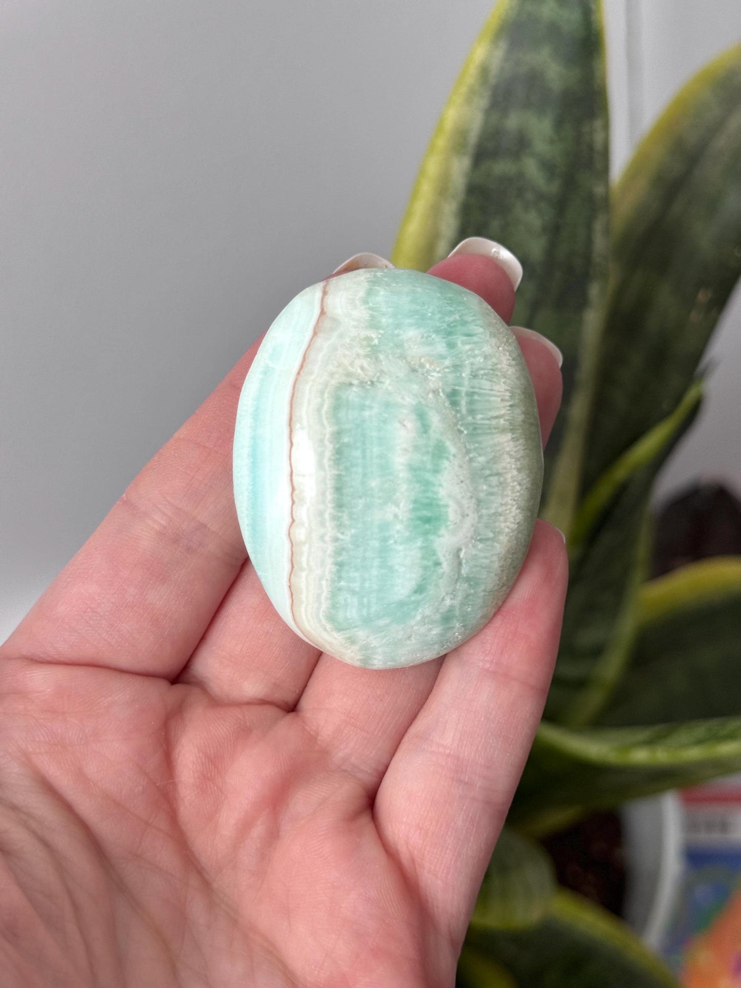 Beautiful Caribbean Calcite Palm Stone from Pakistan