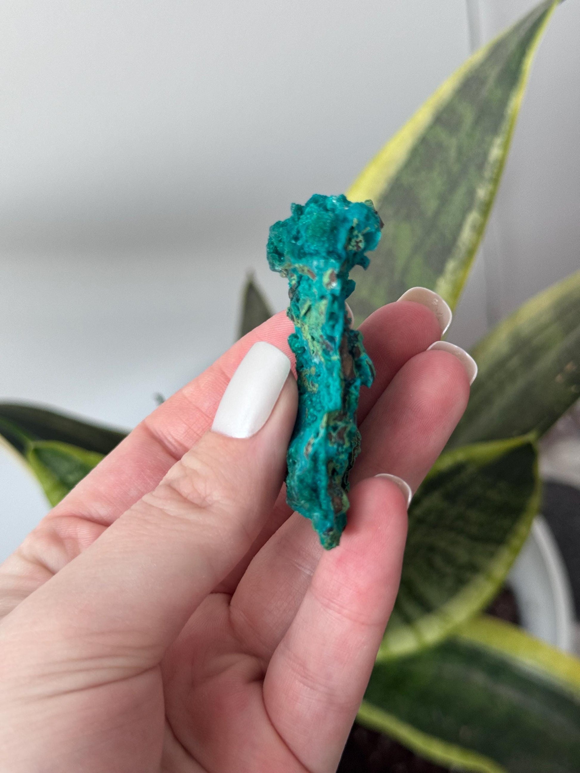 Beautiful Chrysocolla Specimen from Cunyari Mine in Peru | Cunyari Chrysocolla