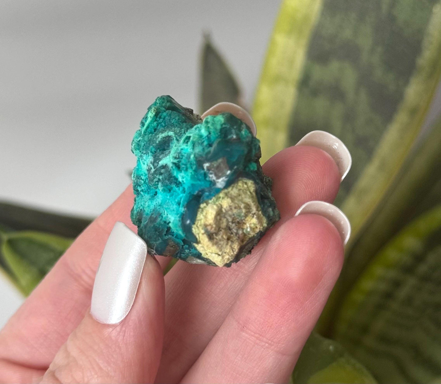 Beautiful Chrysocolla Specimen from Cunyari Mine in Peru | Cunyari Chrysocolla