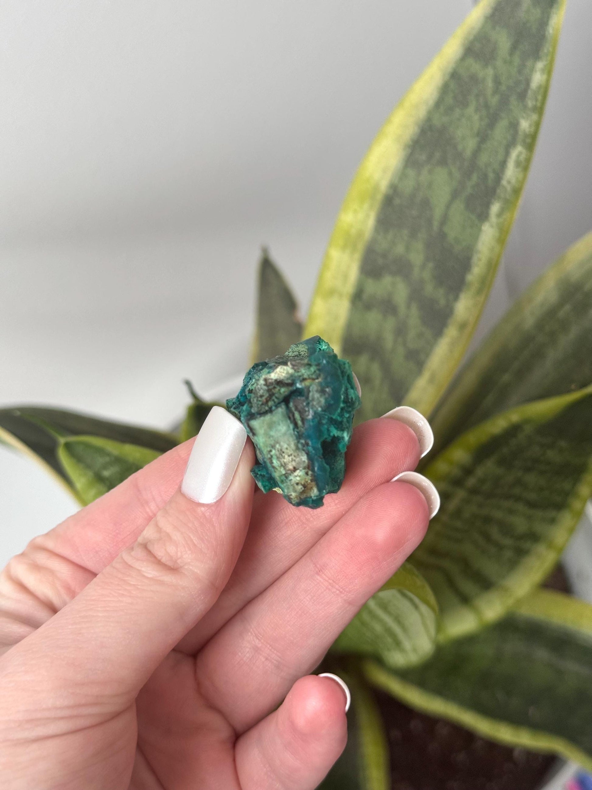 Beautiful Chrysocolla Specimen from Cunyari Mine in Peru | Cunyari Chrysocolla