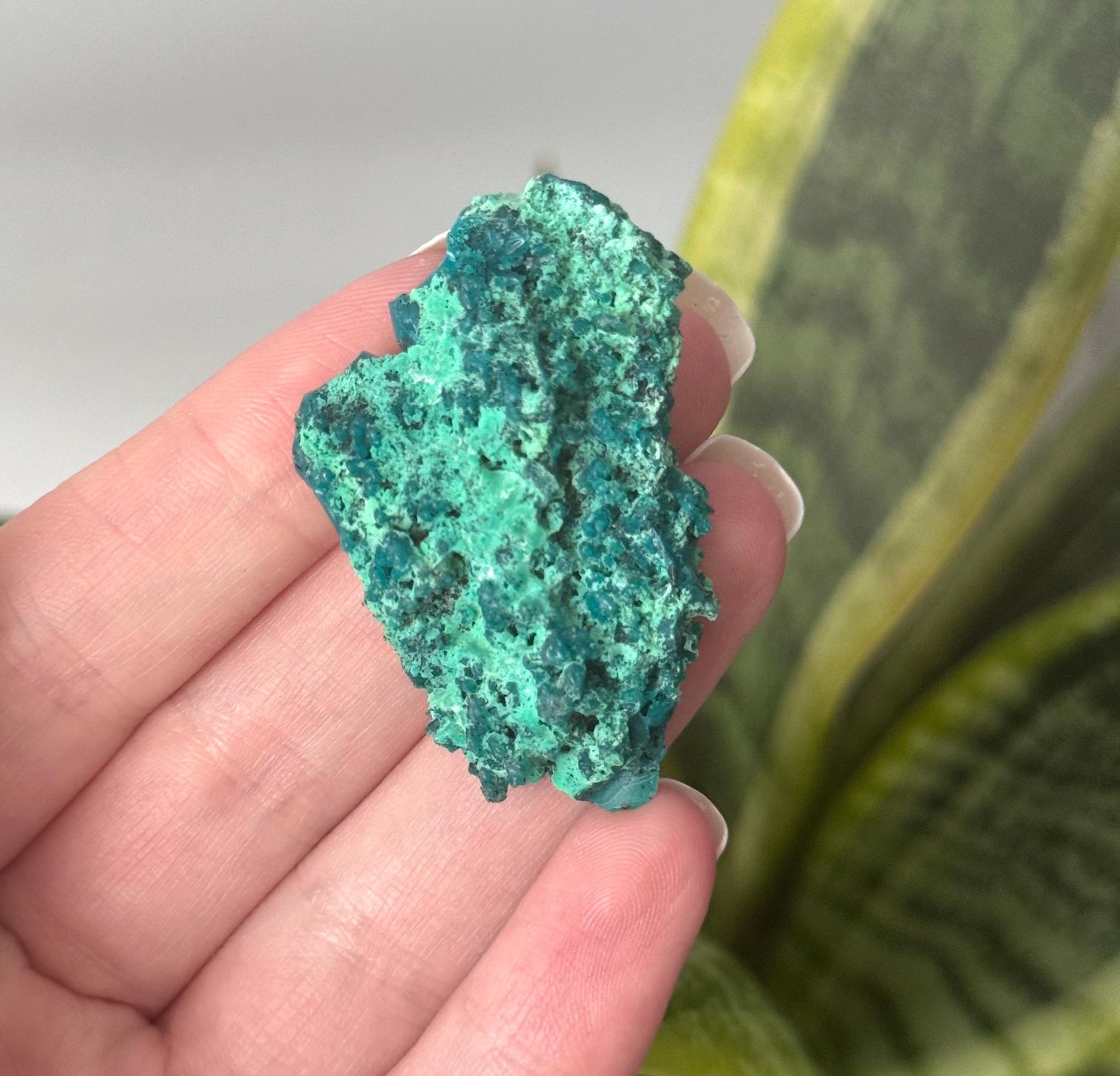 Beautiful Chrysocolla Specimen from Cunyari Mine in Peru | Cunyari Chrysocolla