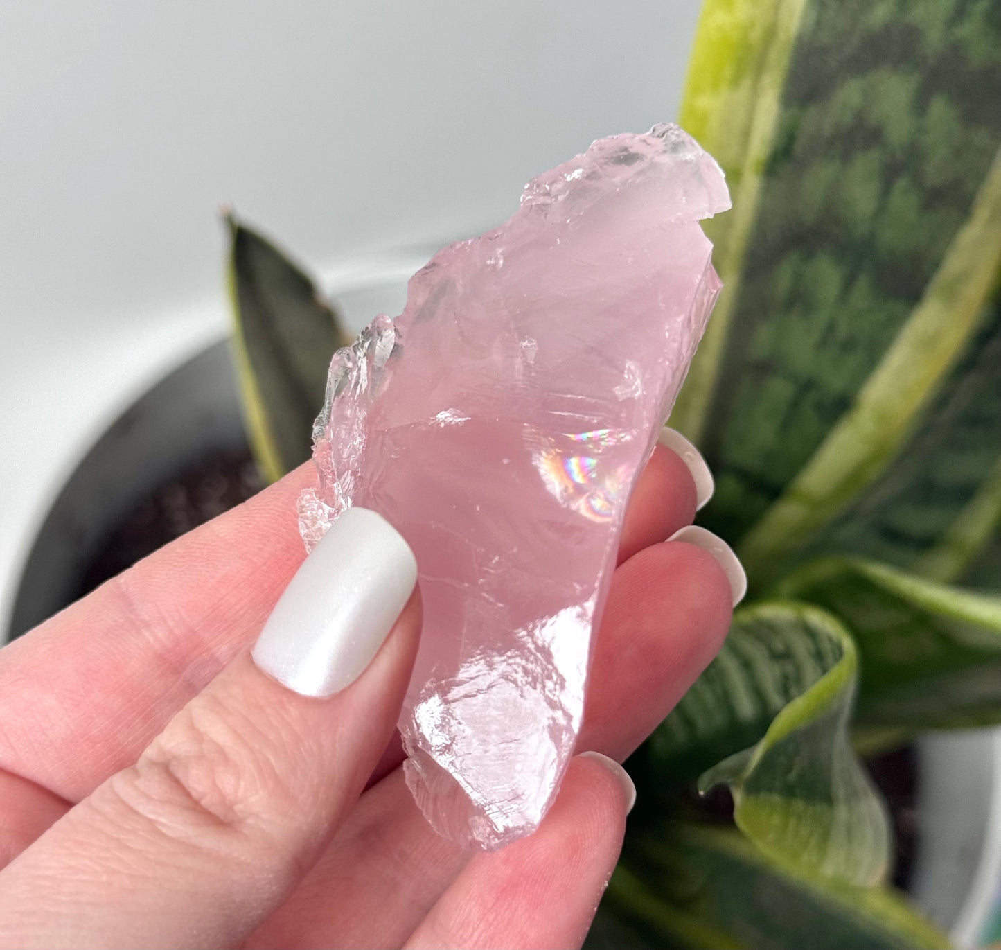 Gorgeous High Quality Rose Quartz Chunk with Rainbows from Brazil | Raw Rose Quartz