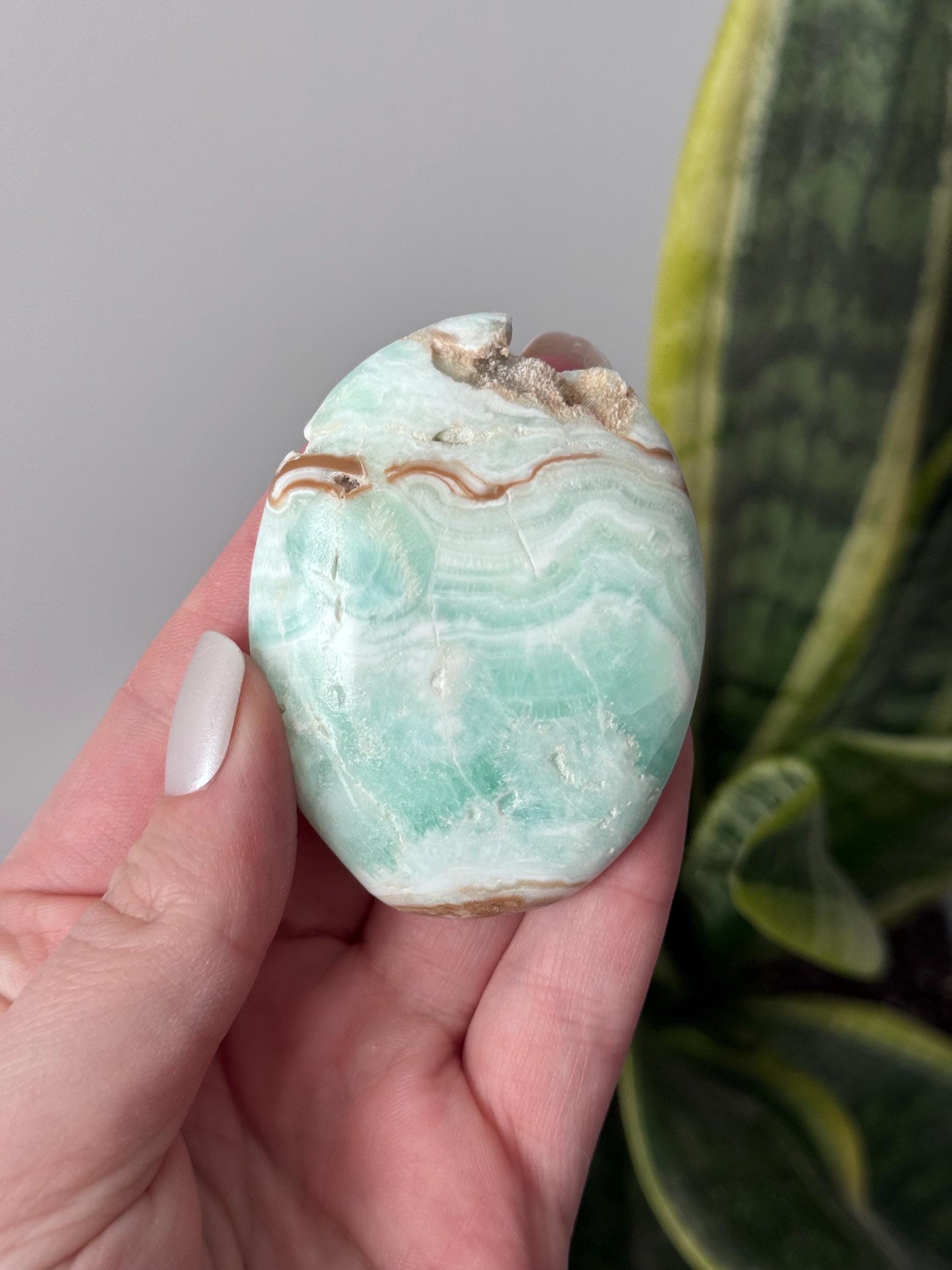 Beautiful Caribbean Calcite Palm Stone from Pakistan