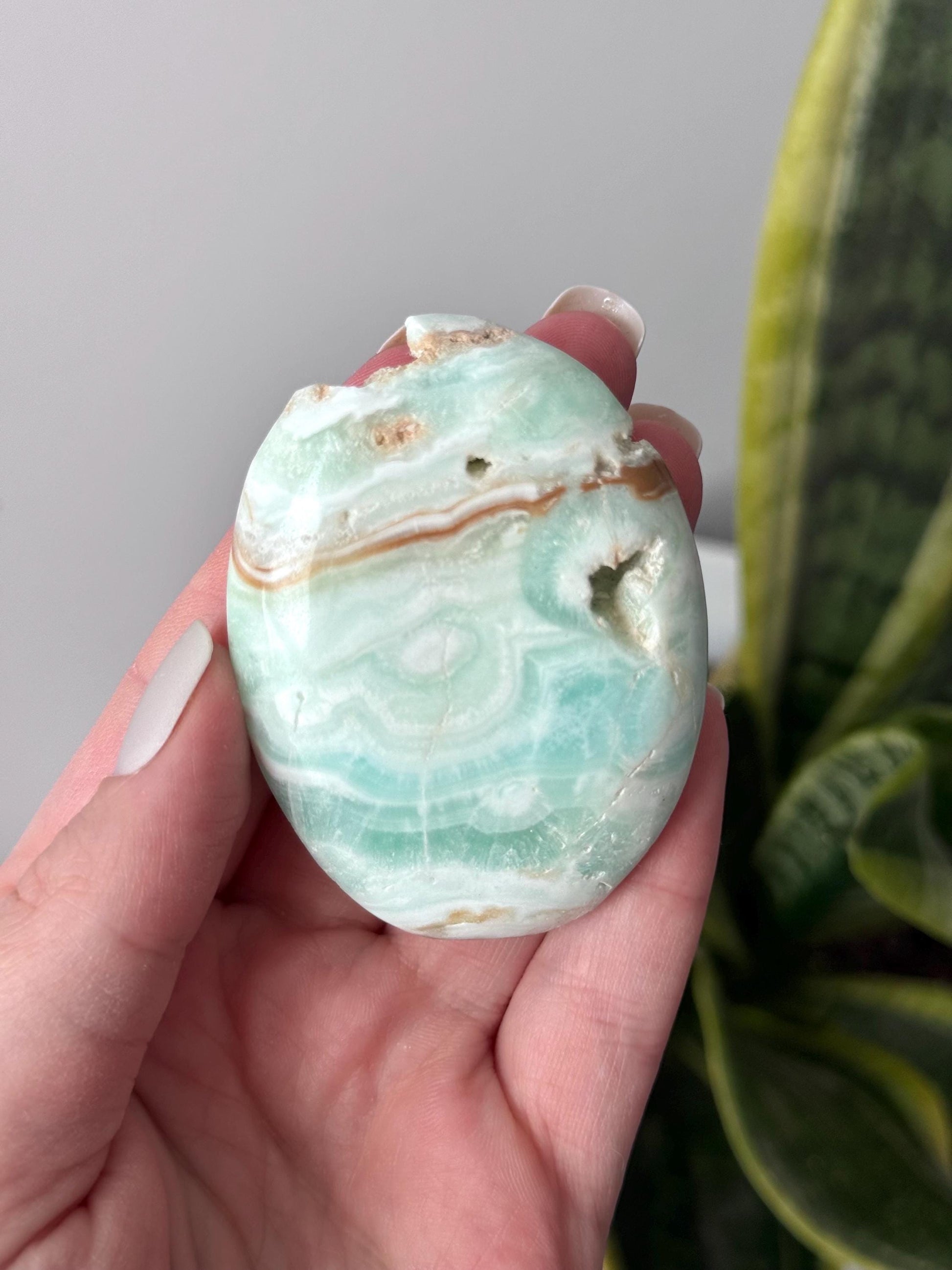 Beautiful Caribbean Calcite Palm Stone from Pakistan