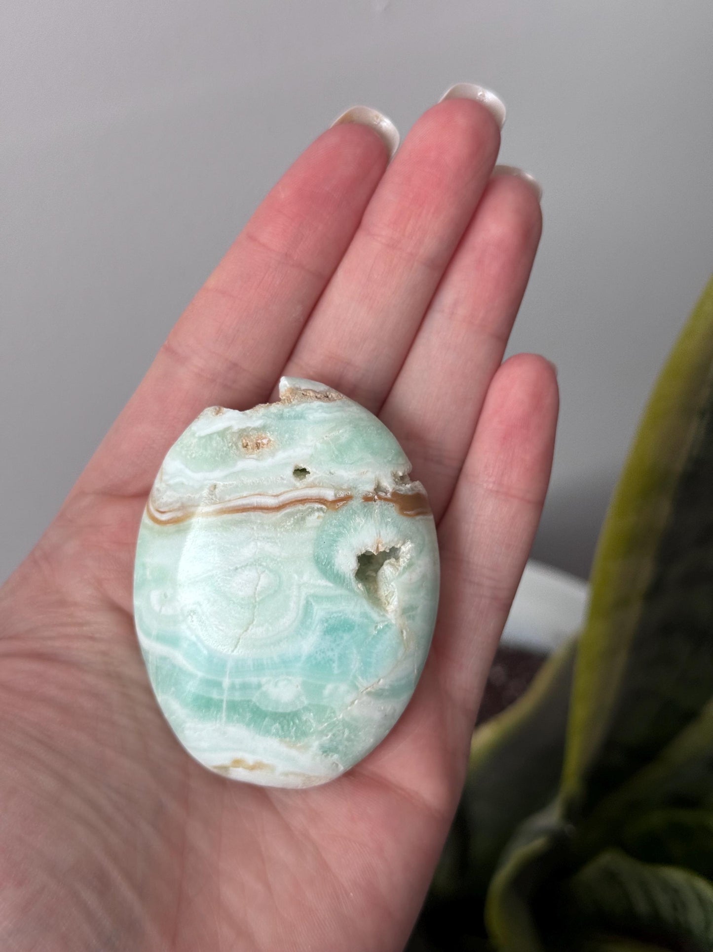 Beautiful Caribbean Calcite Palm Stone from Pakistan