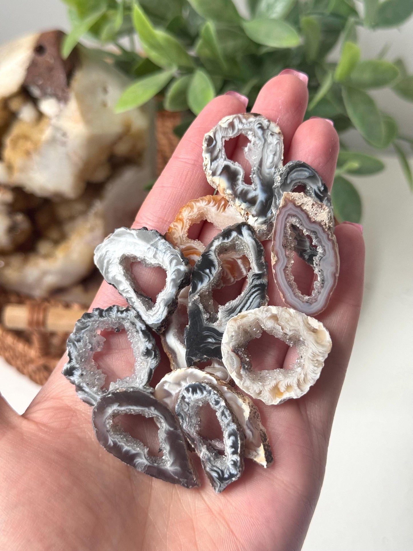 Gorgeous Druzy Oco Agate Mini Portals from Mexico | Intuitively Chosen Oco Agate Geodes