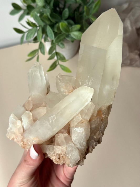 Beautiful Clear Quartz Cluster with Large Point | Raw Clear Quartz Points