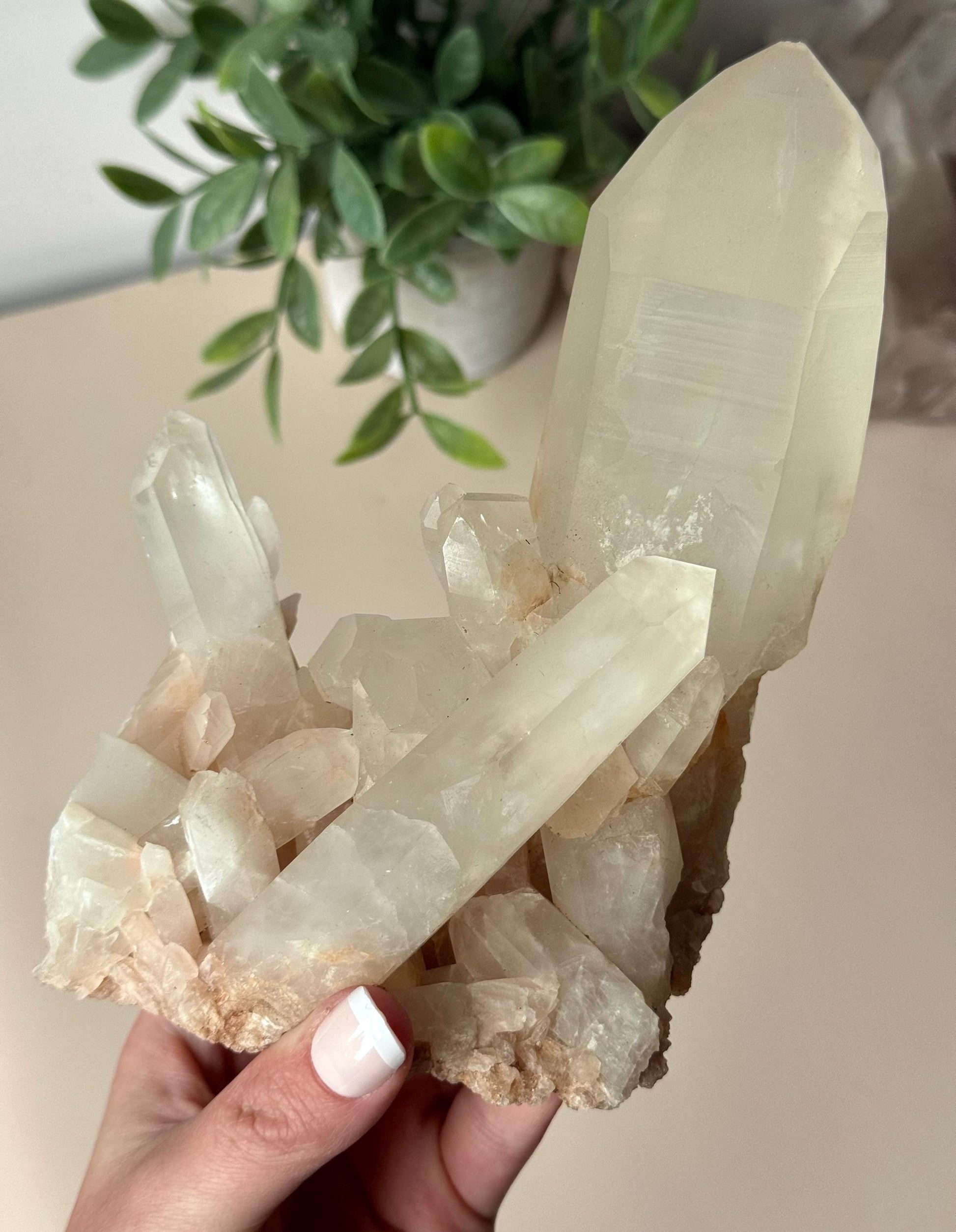 Beautiful Clear Quartz Cluster with Large Point | Raw Clear Quartz Points