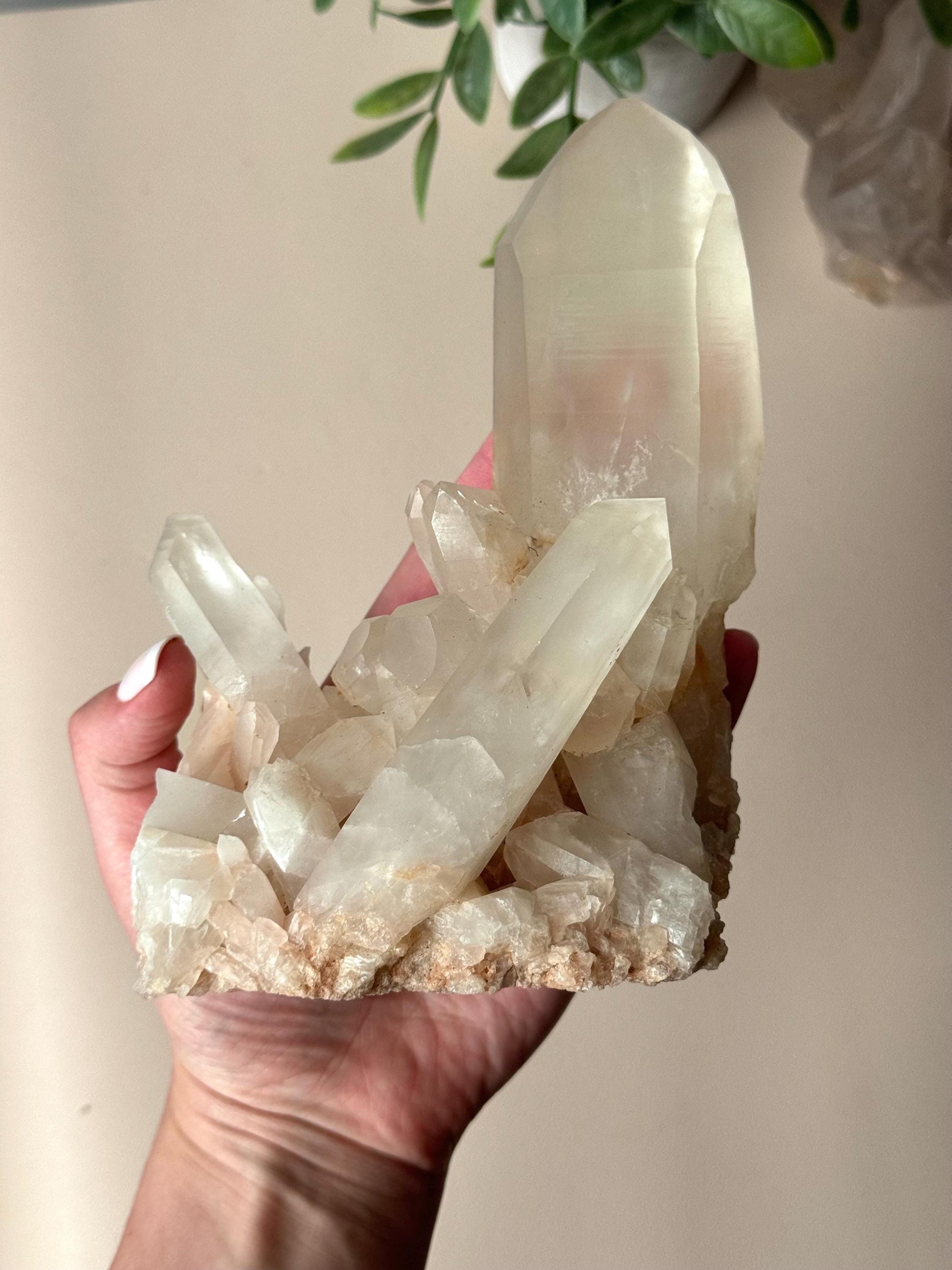 Beautiful Clear Quartz Cluster with Large Point | Raw Clear Quartz Points